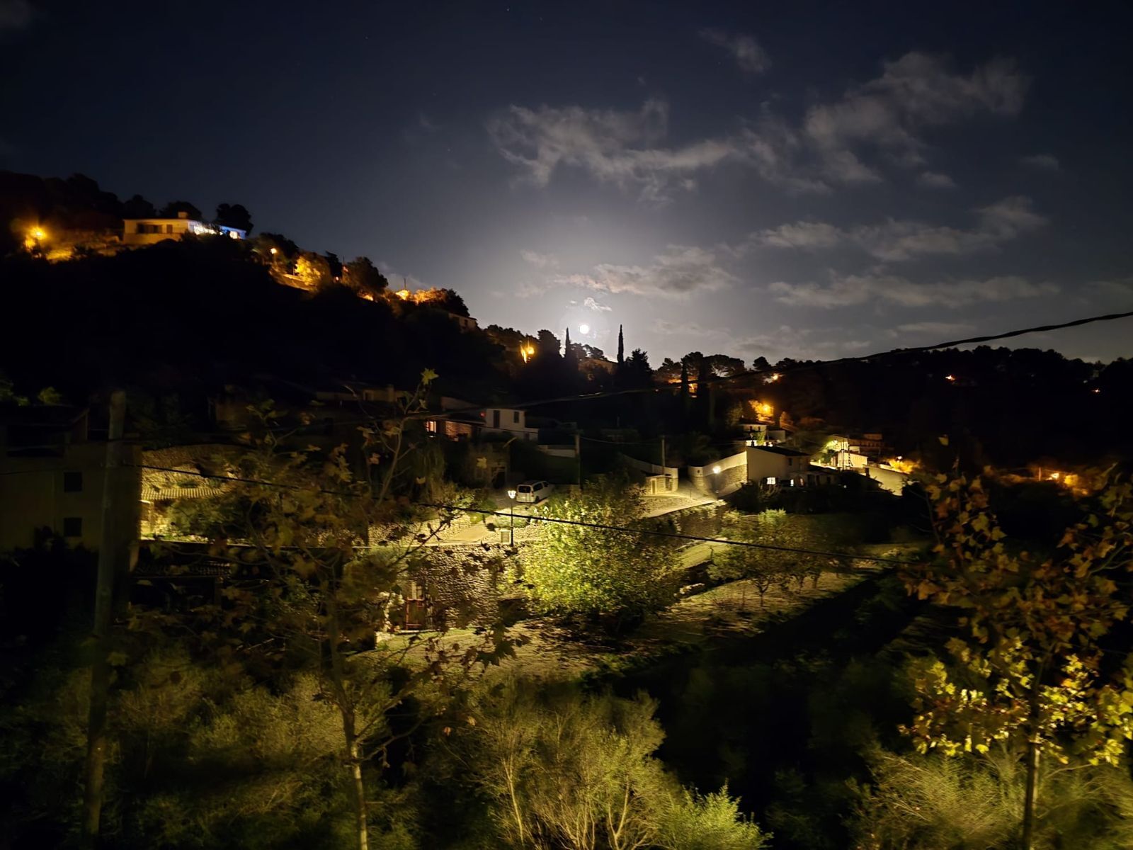 Casas o chalets-Venta-Puigpunyent-1830414-Foto-22