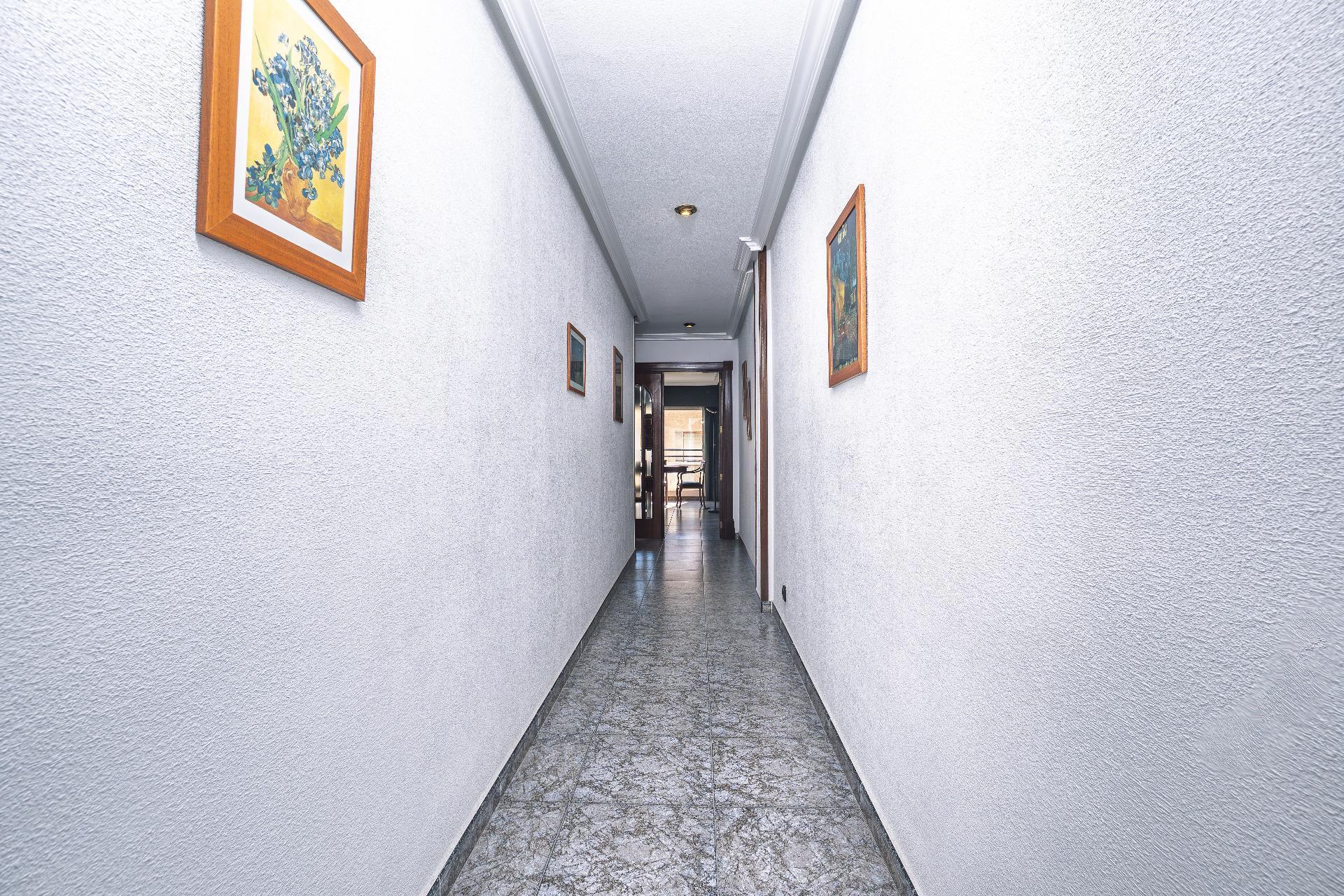 Pisos-Venta-Aspe-1977687-Foto-18