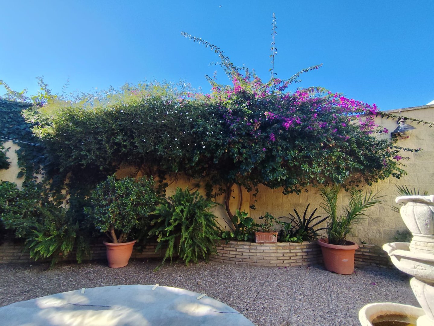 Casas o chalets-Venta-La Hinojosa-2241767-Foto-40