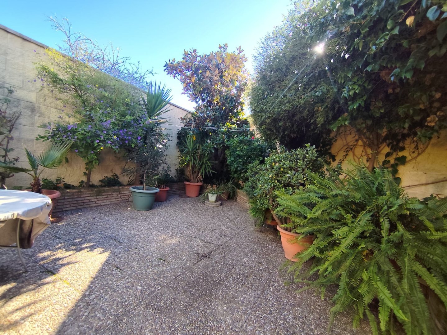 Casas o chalets-Venta-La Hinojosa-2241767-Foto-41