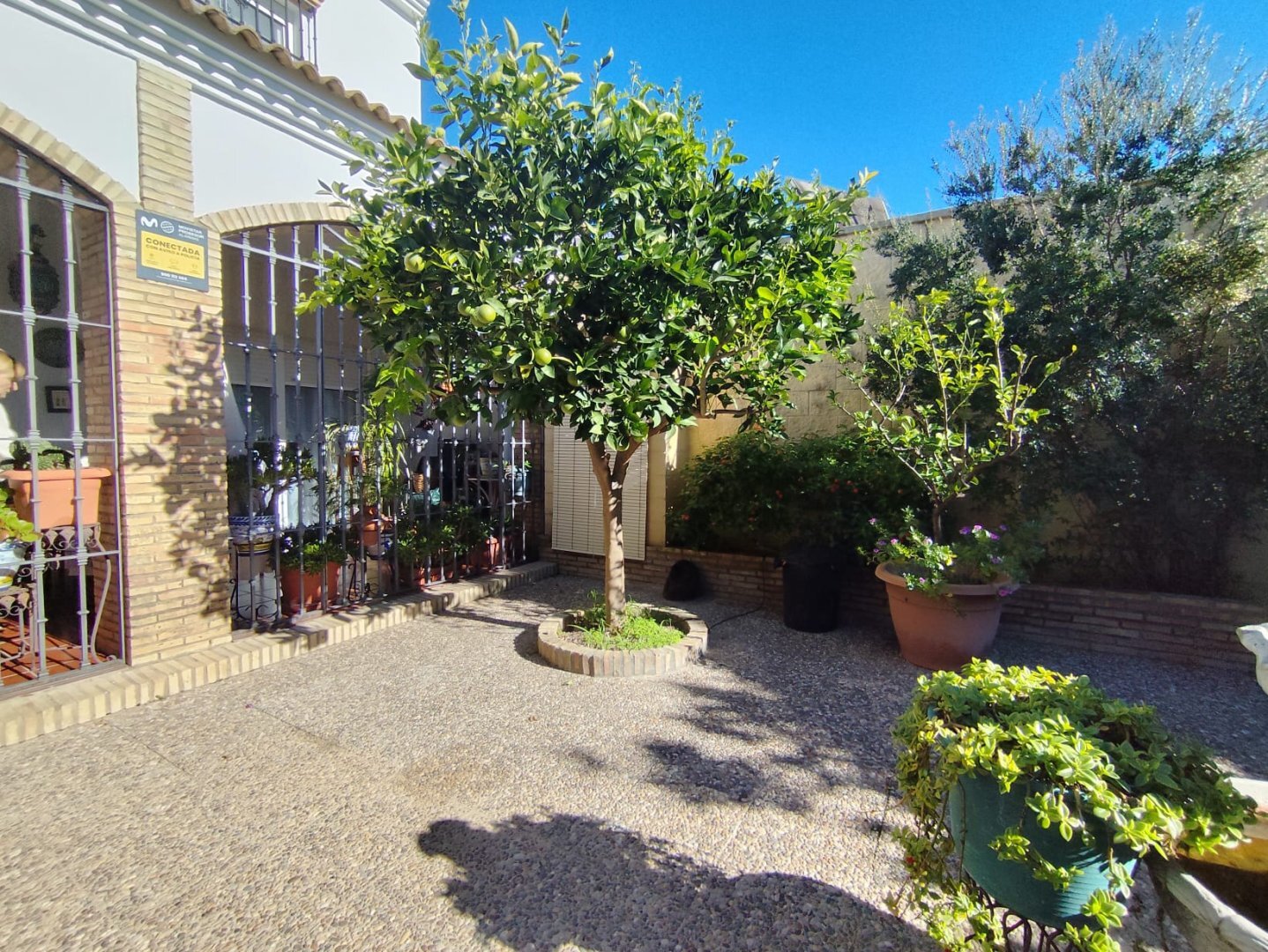 Casas o chalets-Venta-La Hinojosa-2241767-Foto-38