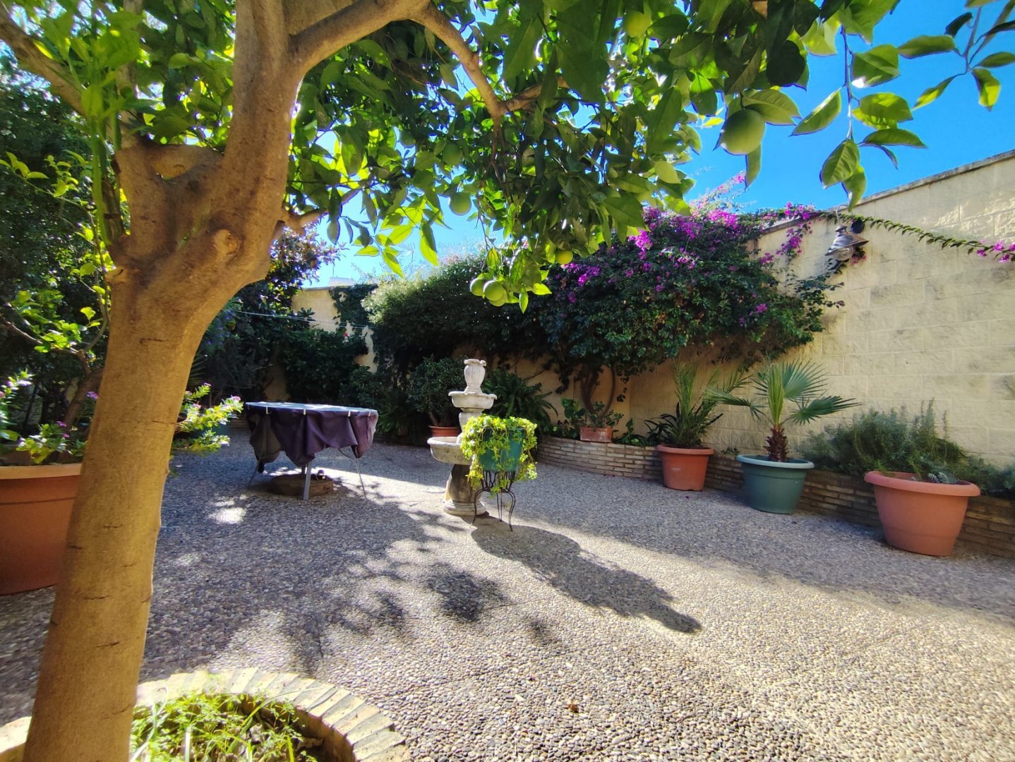 Casas o chalets-Venta-La Hinojosa-2241767-Foto-39