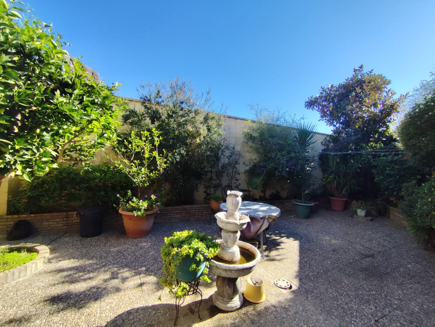 Casas o chalets-Venta-La Hinojosa-2241767-Foto-44