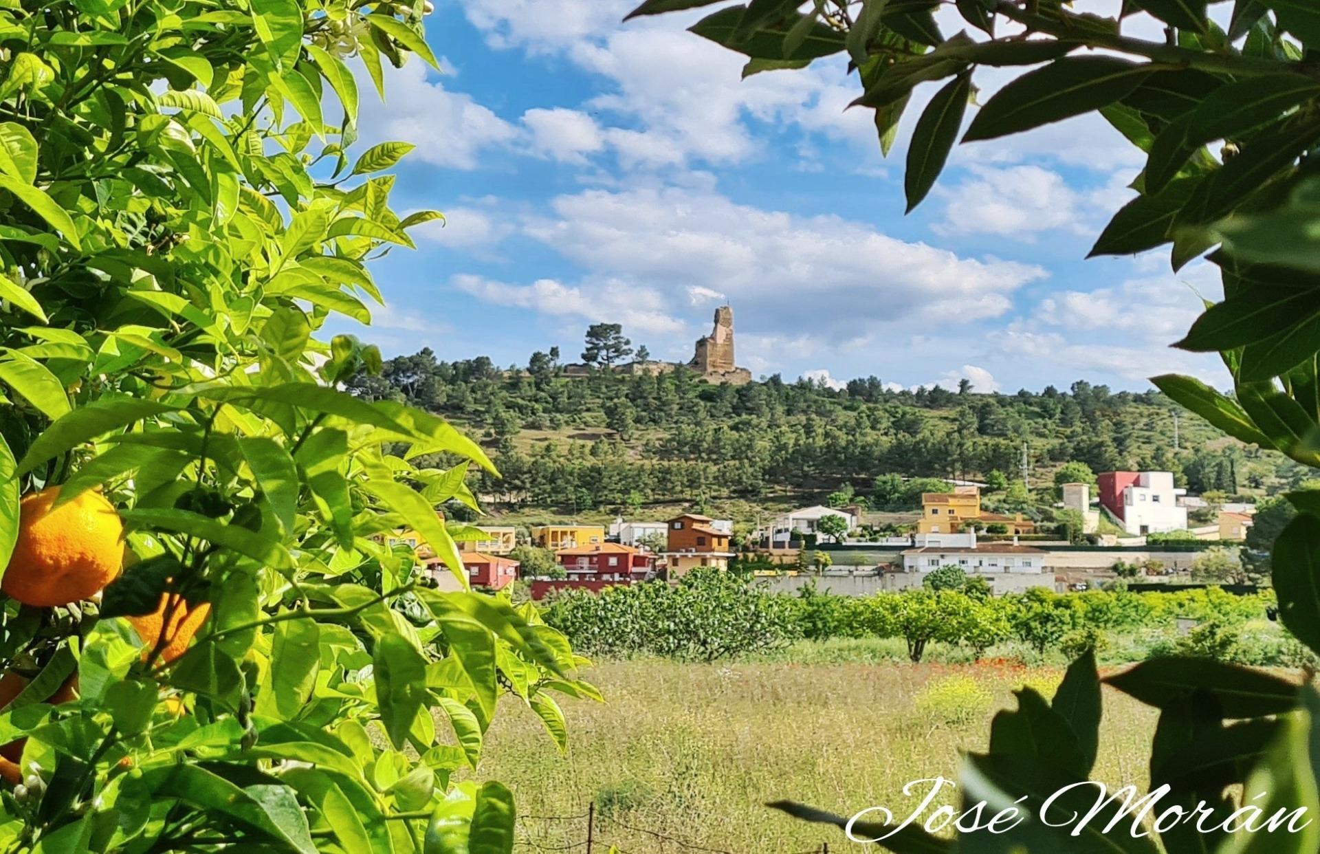 Pisos-Venta-Macastre-1837333-Foto-42