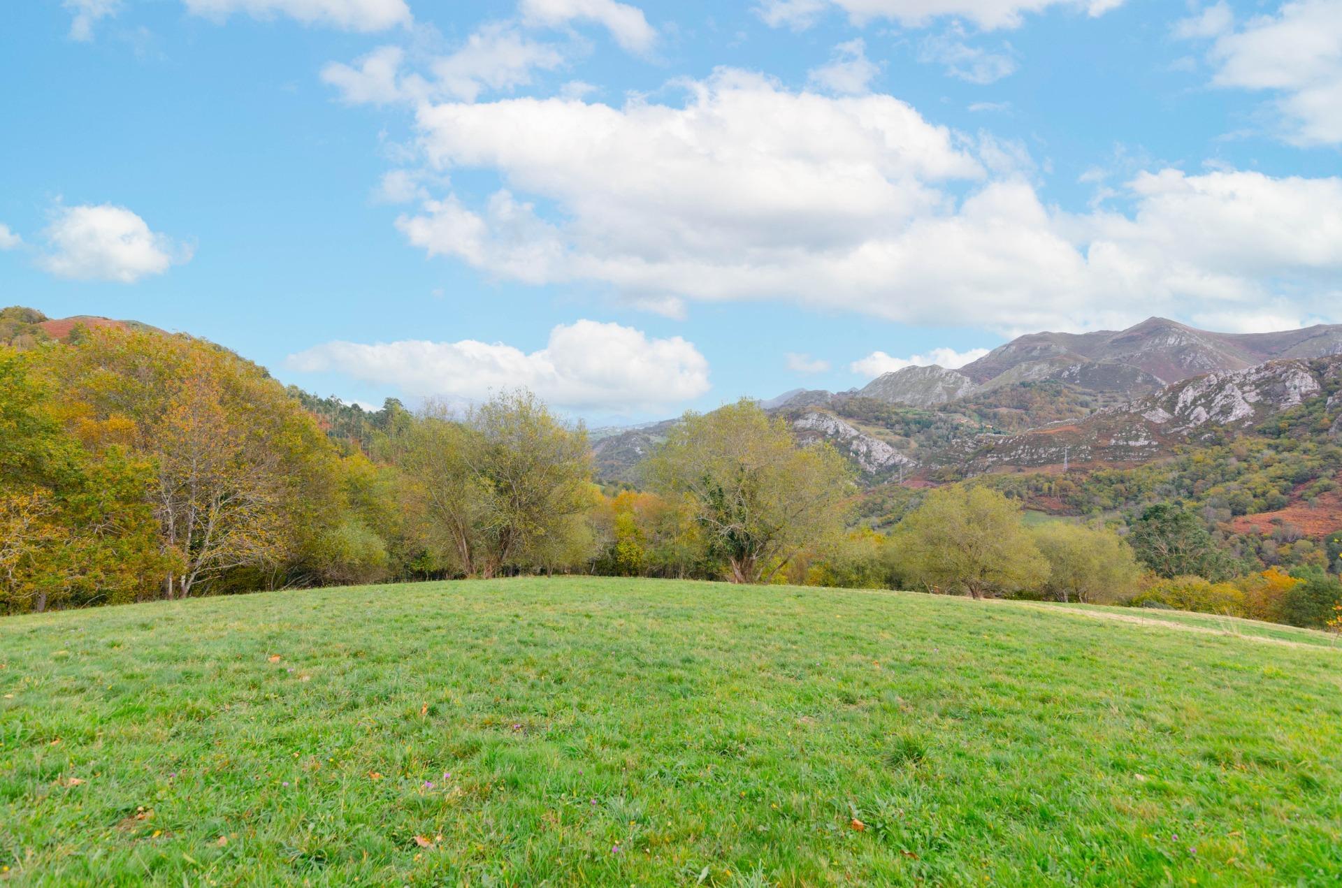 Casas o chalets-Venta-PiloÃ±a-1993598-Foto-4