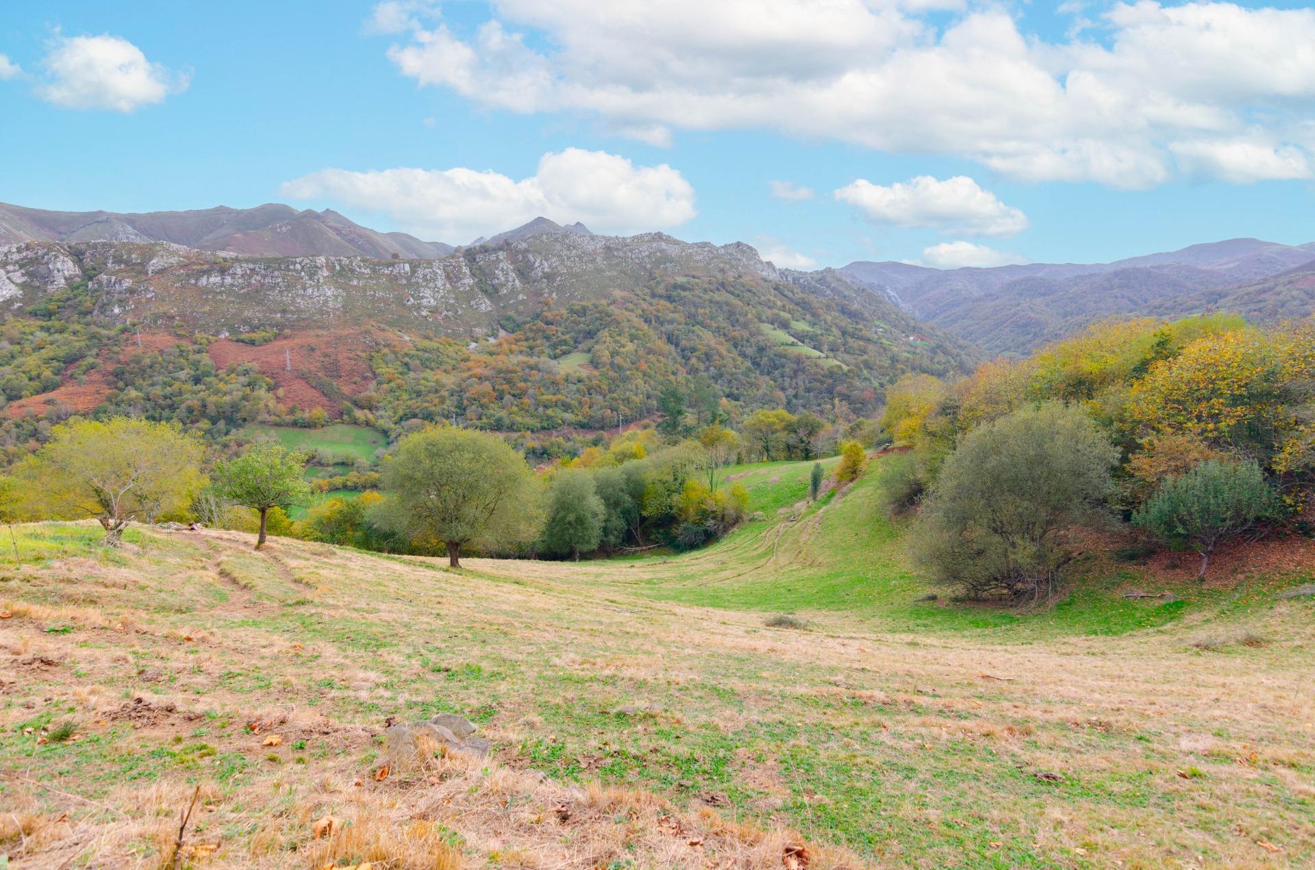 Casas o chalets-Venta-PiloÃ±a-1993598-Foto-3