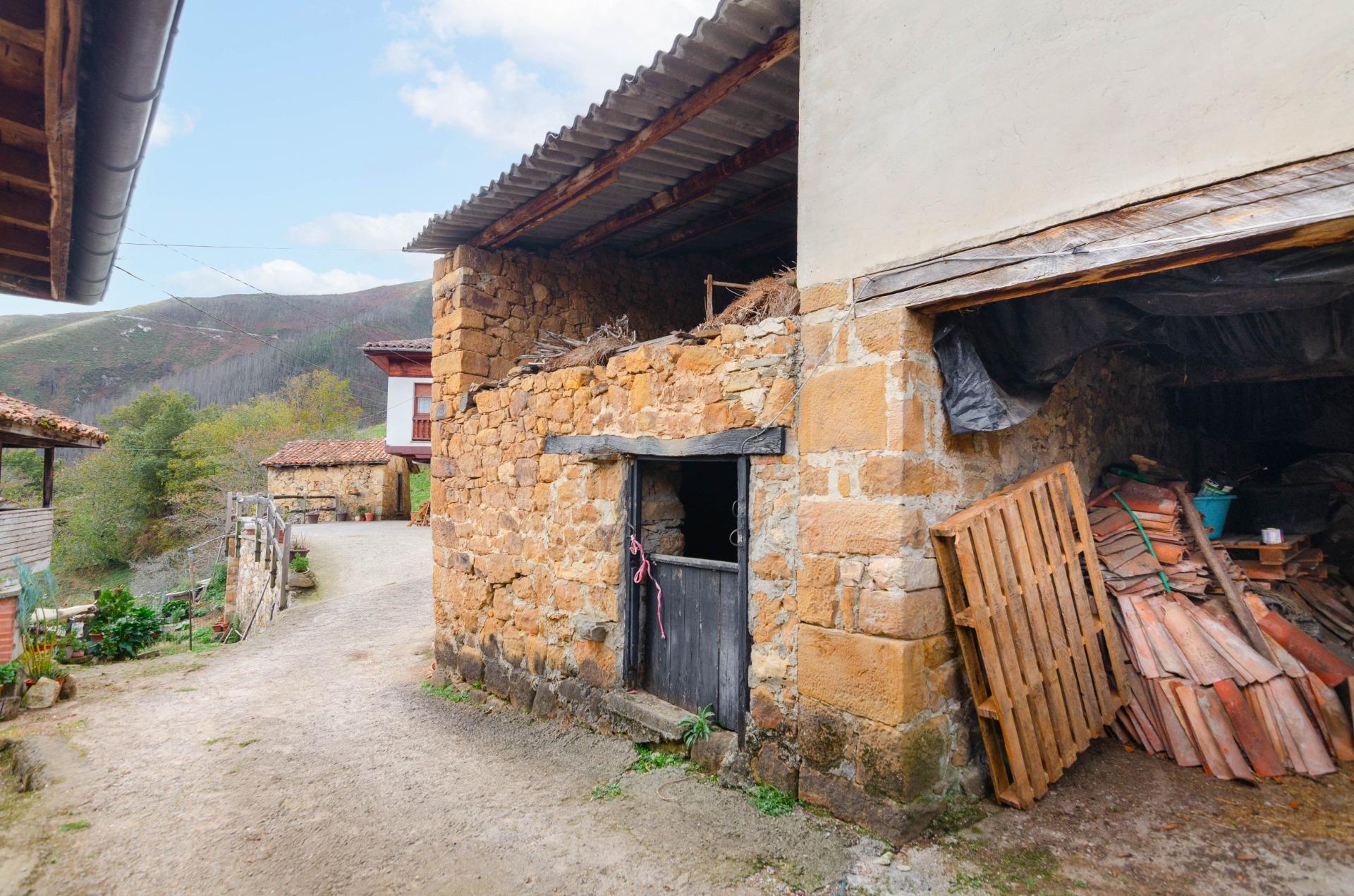 Casas o chalets-Venta-PiloÃ±a-1993598-Foto-7