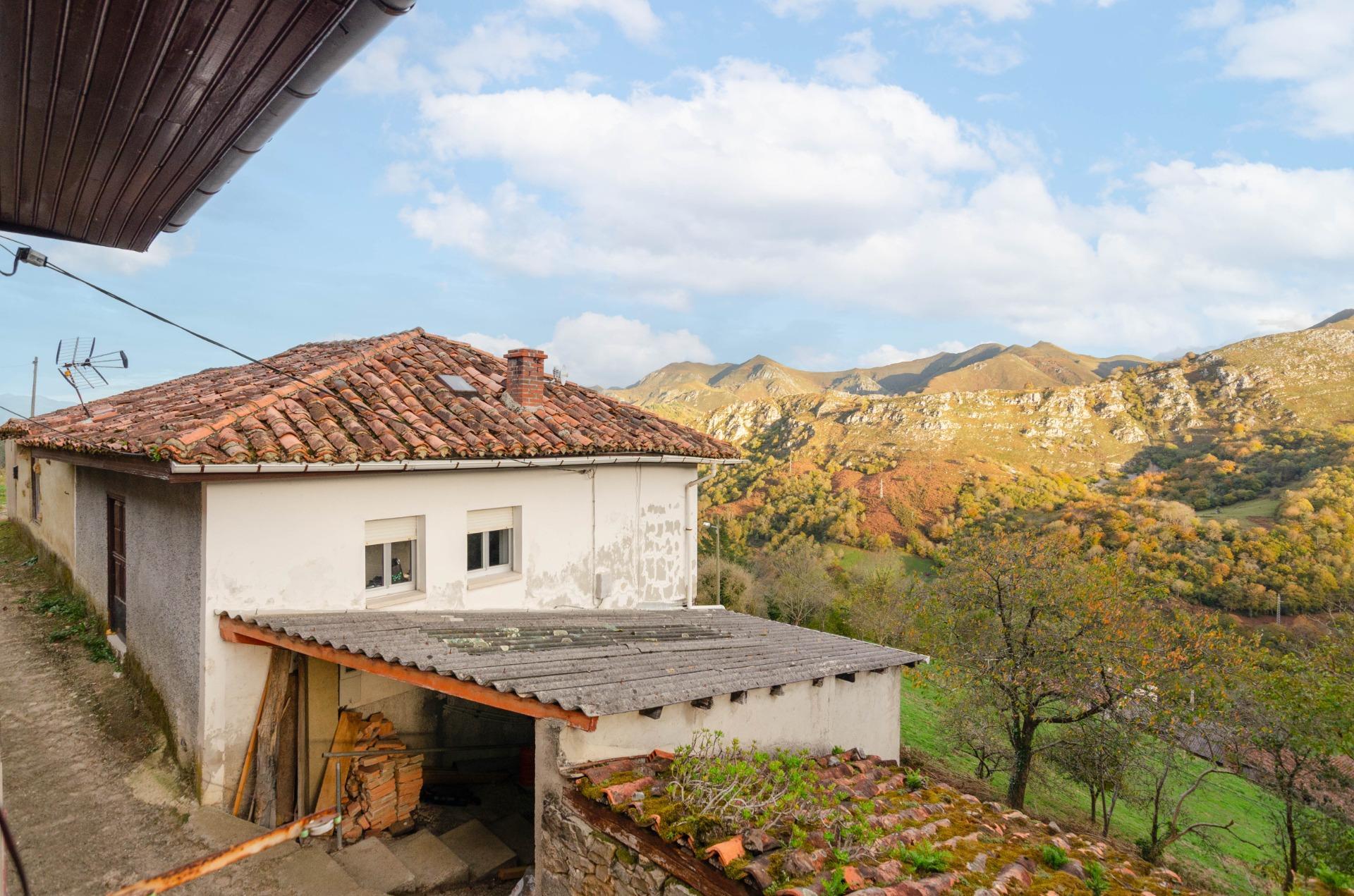 Casas o chalets-Venta-PiloÃ±a-1993598-Foto-29