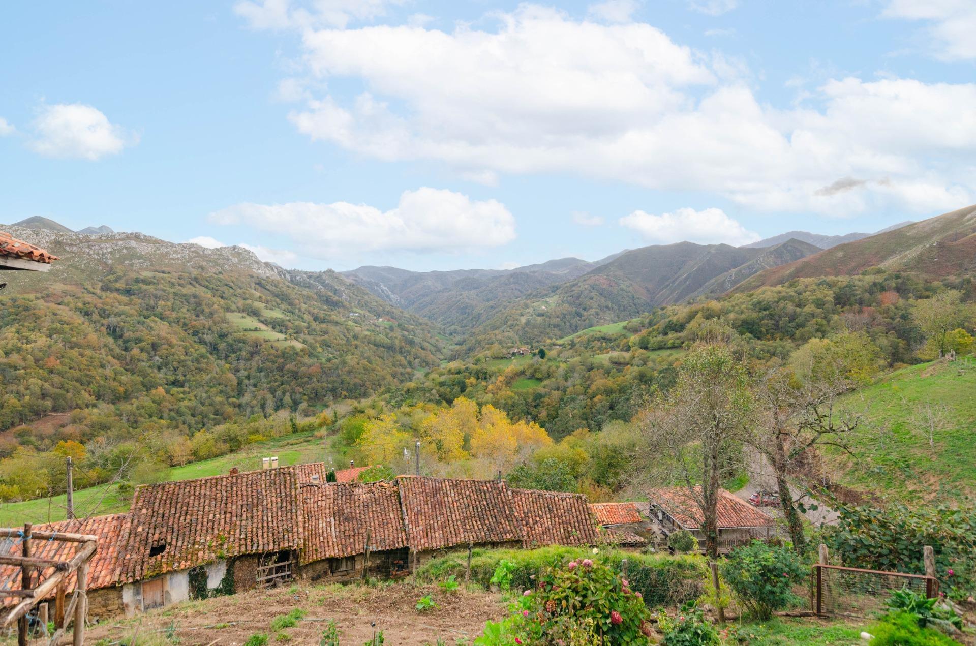 Casas o chalets-Venta-PiloÃ±a-1993598-Foto-44