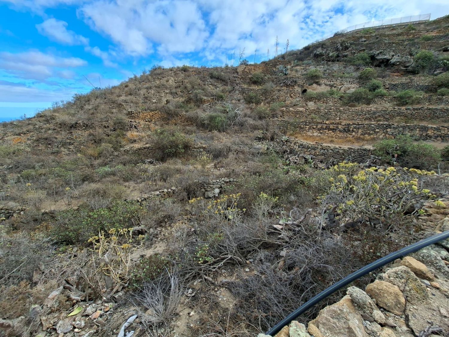 Fincas y solares-Venta-Arico-1993559-Foto-2