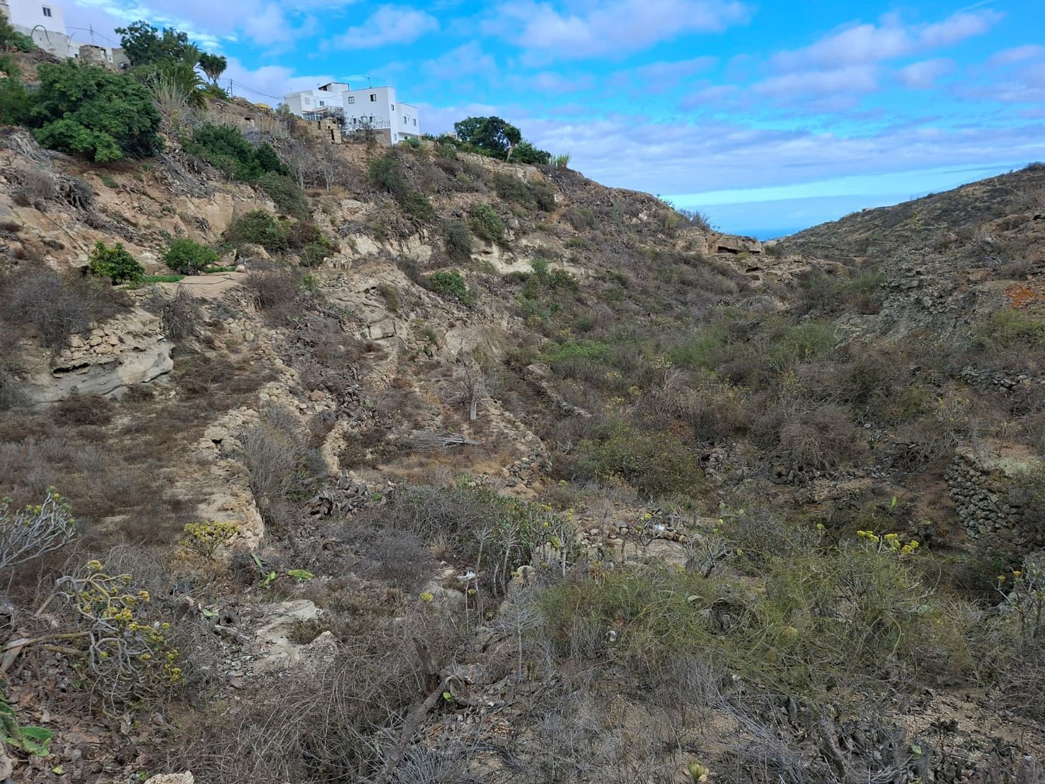 Fincas y solares-Venta-Arico-1993559-Foto-7