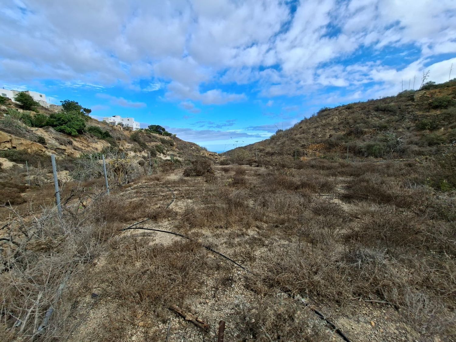 Fincas y solares-Venta-Arico-1993559-Foto-5