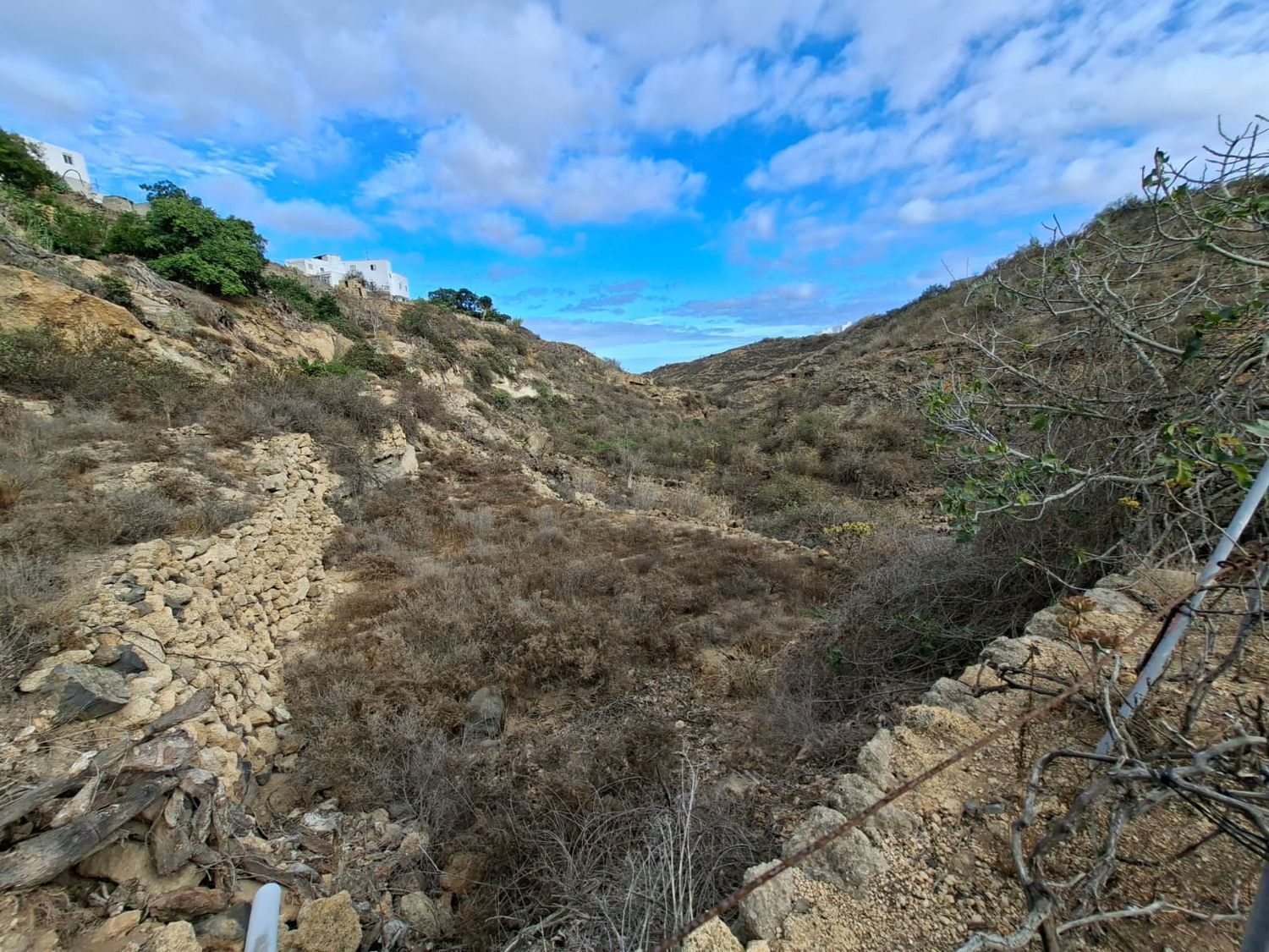 Fincas y solares-Venta-Arico-1993559-Foto-6