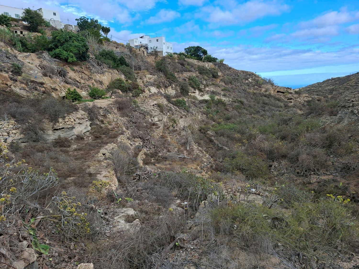 Fincas y solares-Venta-Arico-1993559-Foto-8