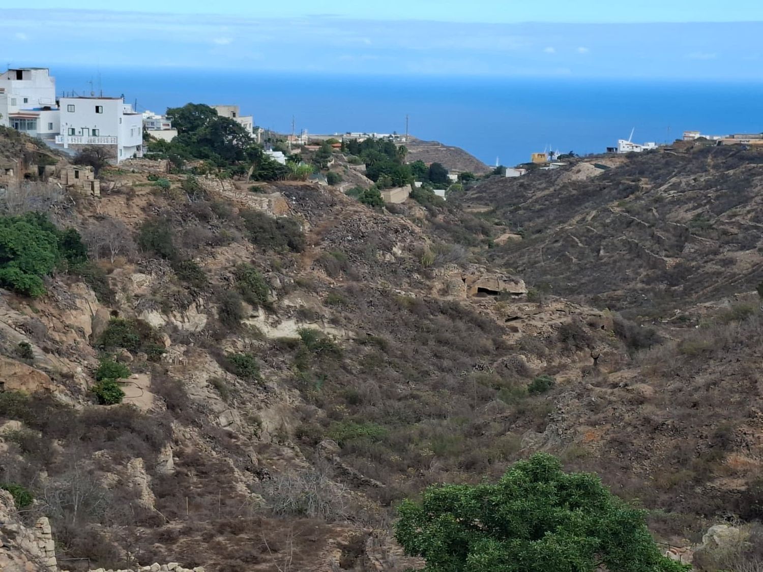 Fincas y solares-Venta-Arico-1993559-Foto-11