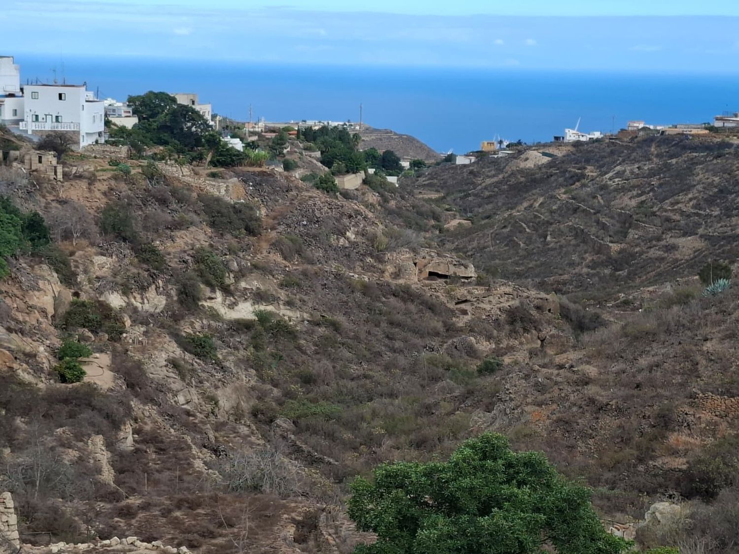 Fincas y solares-Venta-Arico-1993559-Foto-10