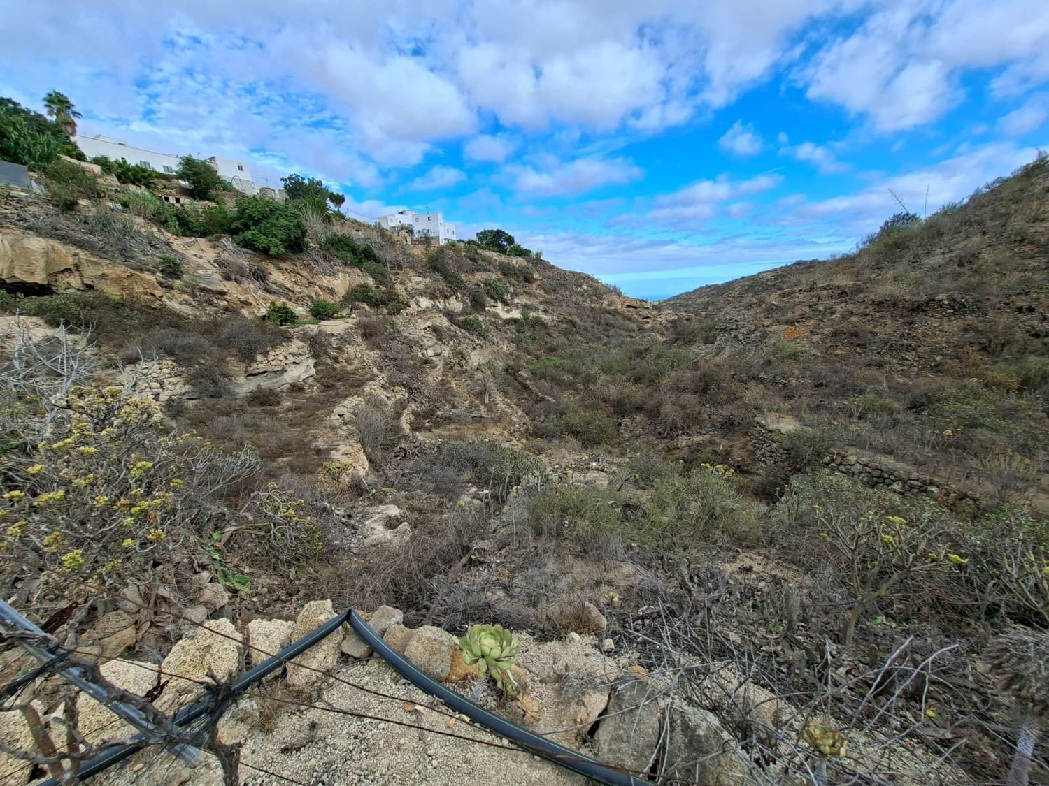 Fincas y solares-Venta-Arico-1993559-Foto-9