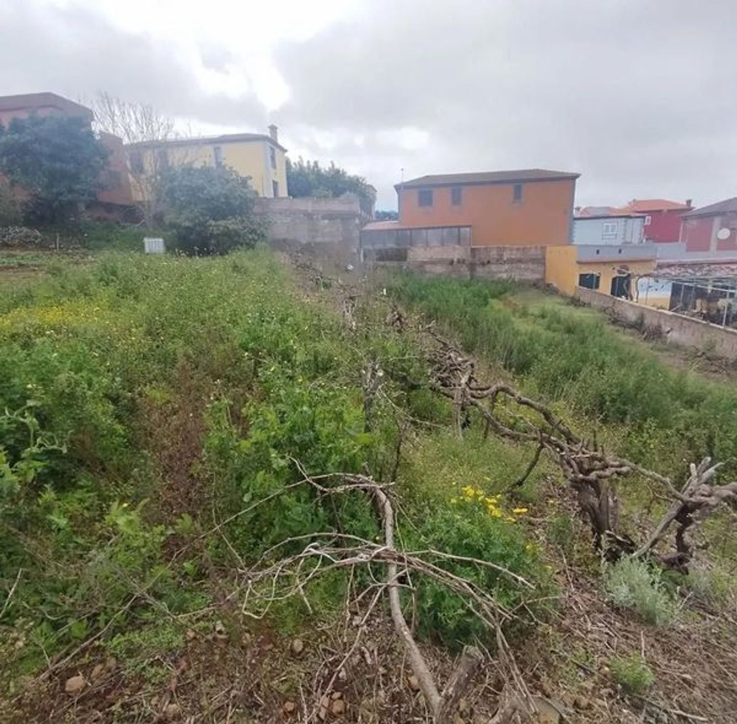 Fincas y solares-Venta-San CristÃ³bal de La Laguna-1993562-Foto-4