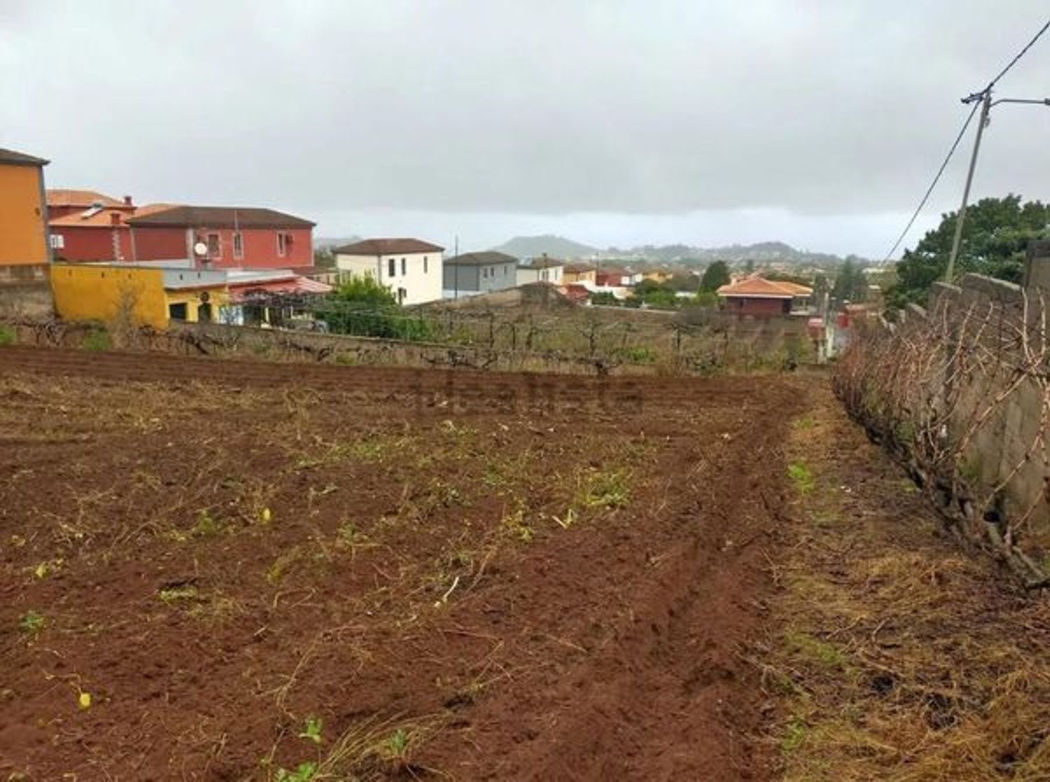 Fincas y solares-Venta-San CristÃ³bal de La Laguna-1993562-Foto-6