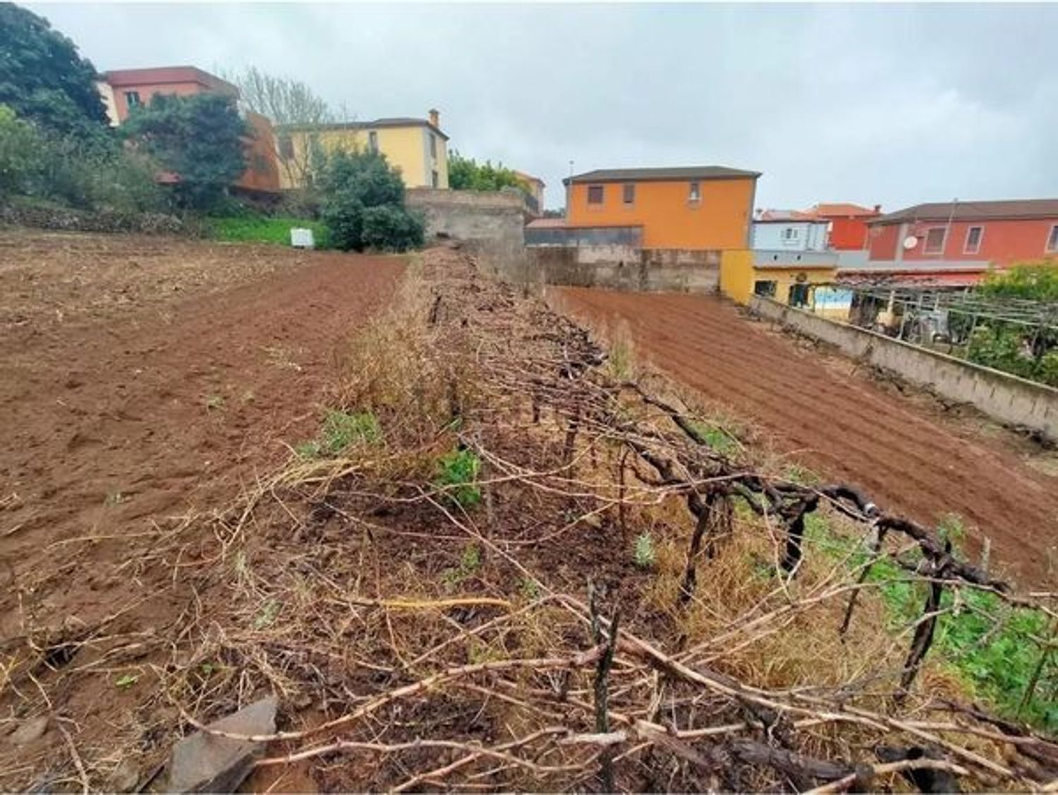 Fincas y solares-Venta-San CristÃ³bal de La Laguna-1993562-Foto-7
