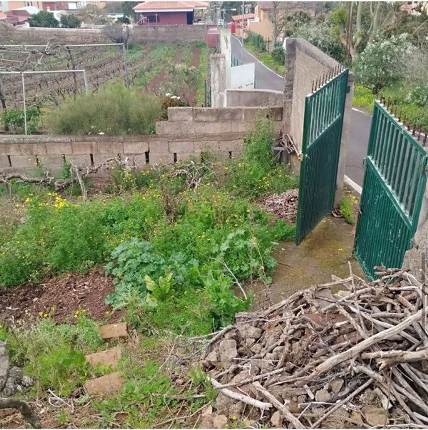Fincas y solares-Venta-San CristÃ³bal de La Laguna-1993562-Foto-10