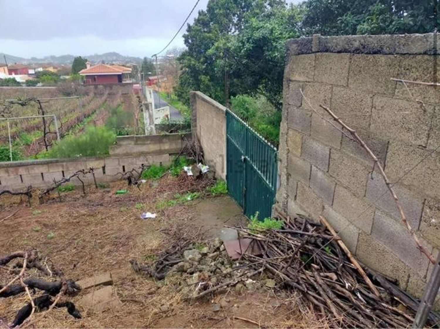 Fincas y solares-Venta-San CristÃ³bal de La Laguna-1993562-Foto-12