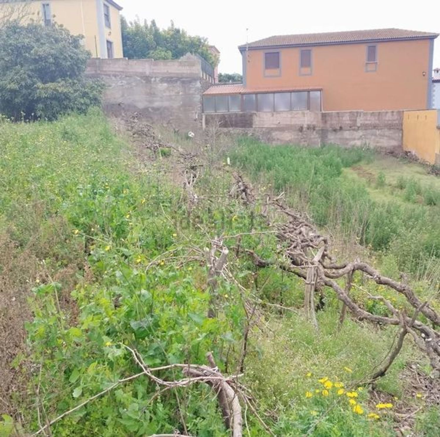 Fincas y solares-Venta-San CristÃ³bal de La Laguna-1993562-Foto-11