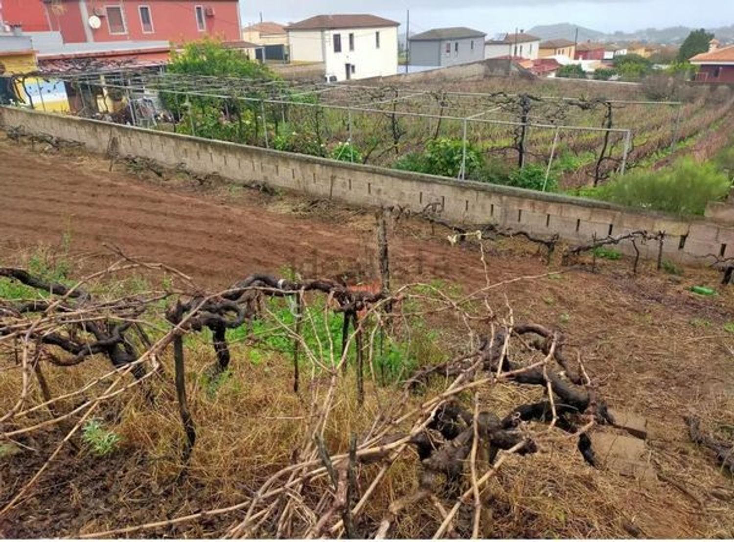 Fincas y solares-Venta-San CristÃ³bal de La Laguna-1993562-Foto-15