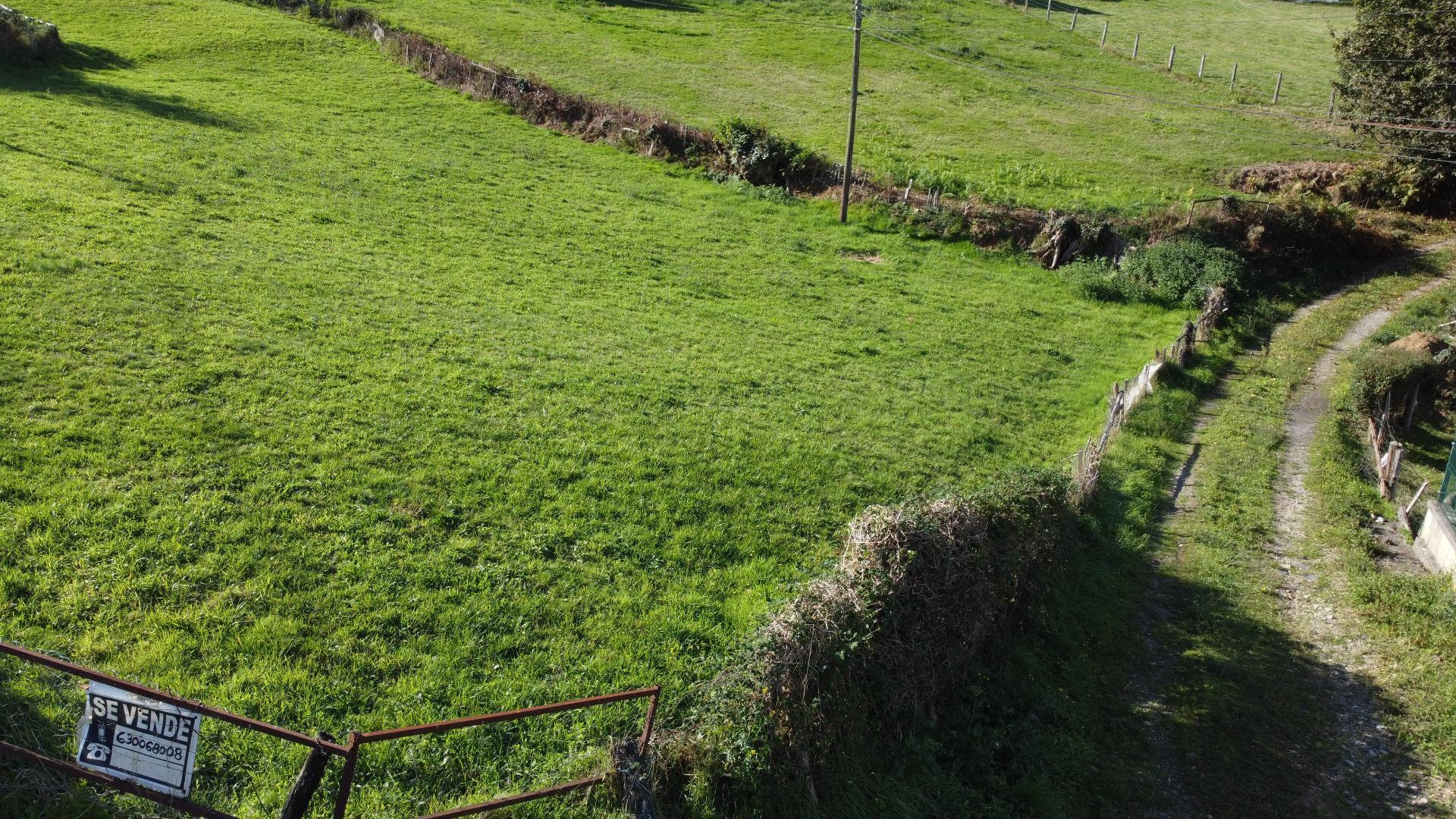 Fincas y solares-Venta-Siero-1941941-Foto-23