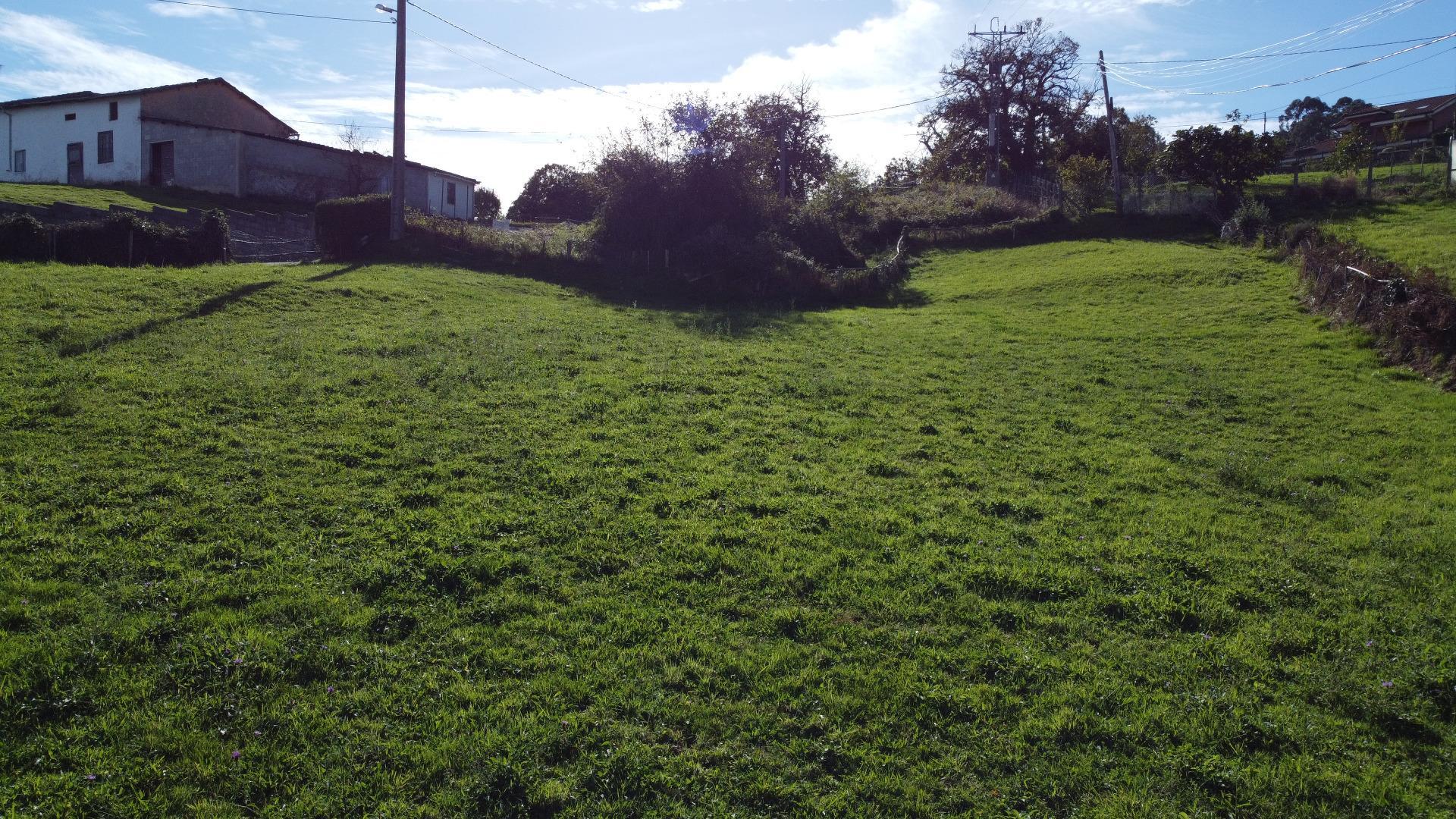 Fincas y solares-Venta-Siero-1941941-Foto-25