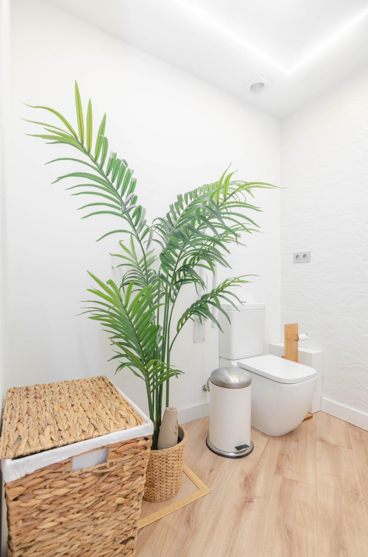 Negocios-Venta-Oviedo-1832819-Foto-22