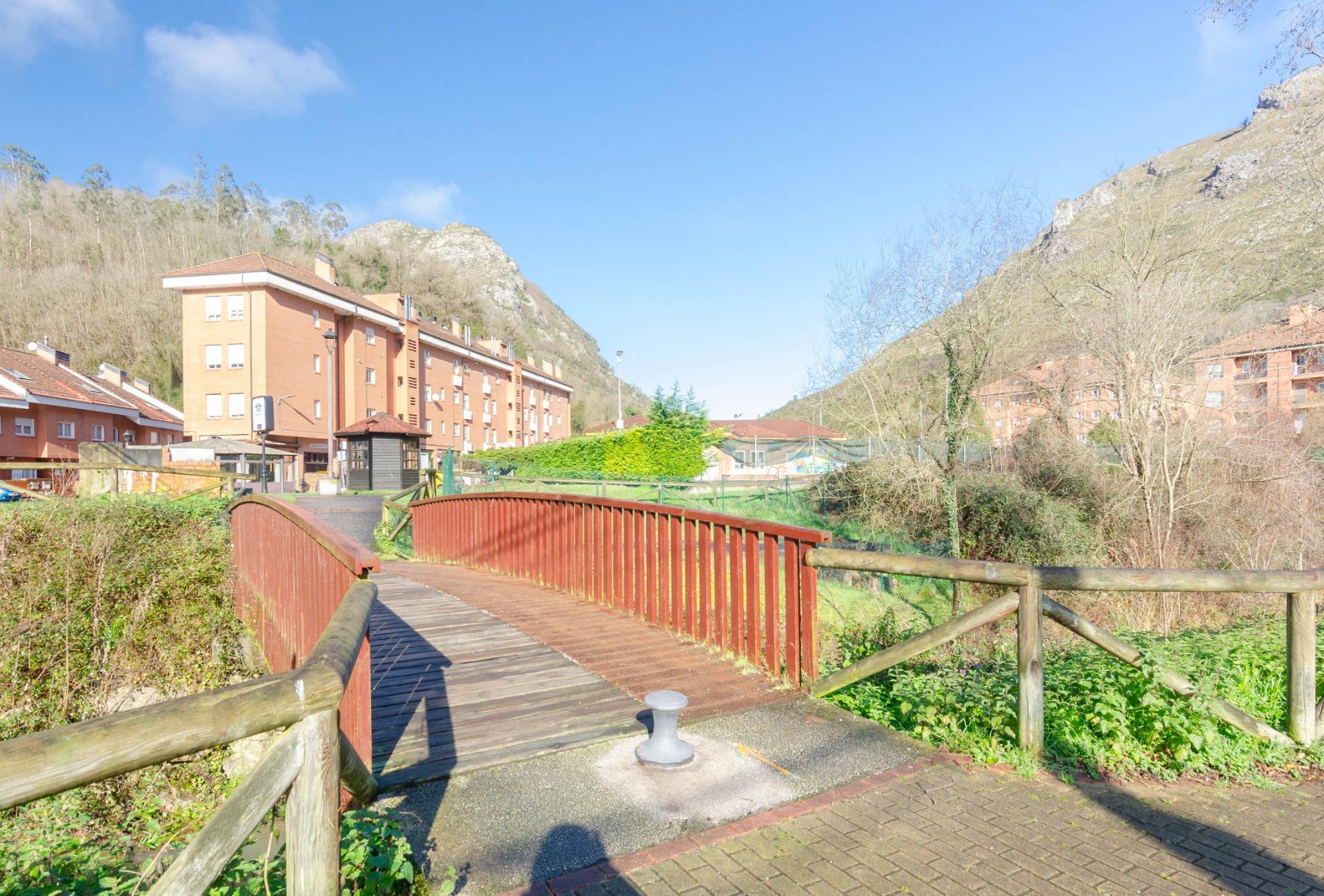 Fincas y solares-Venta-MorcÃ­n-1634080-Foto-6