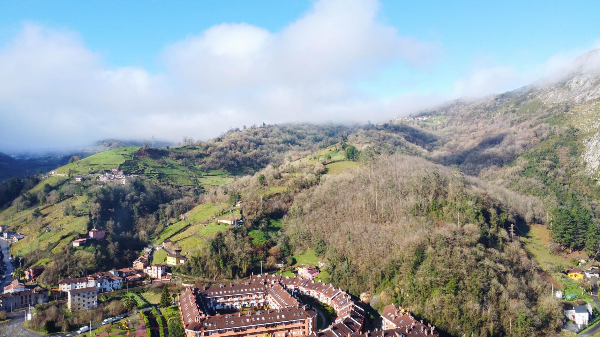 Fincas y solares-Venta-MorcÃ­n-1634080-Foto-15