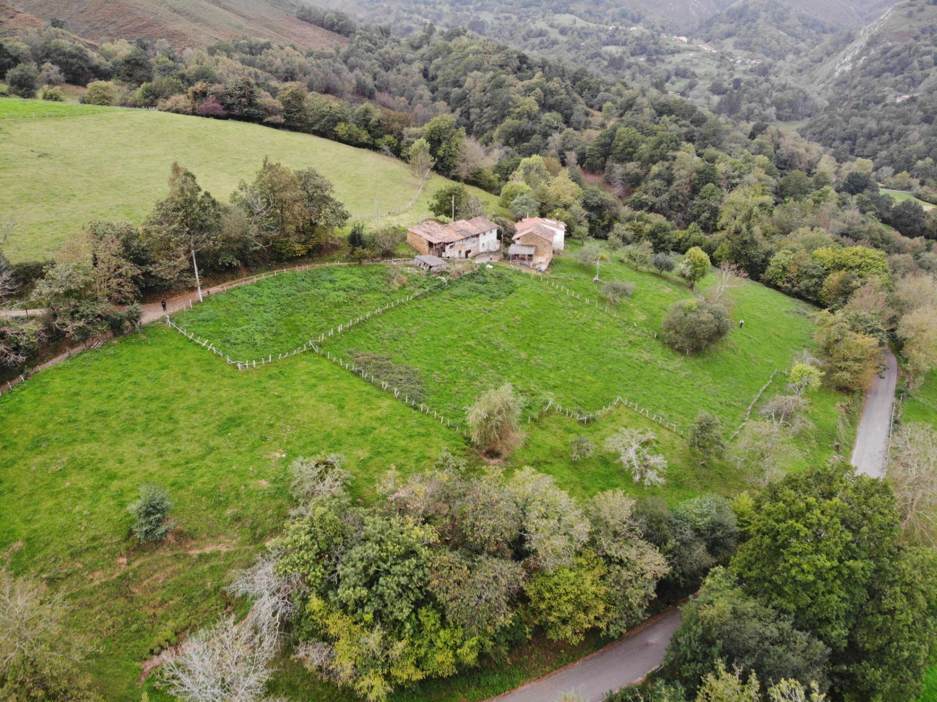 Fincas y solares-Venta-PiloÃ±a-1439489-Foto-4