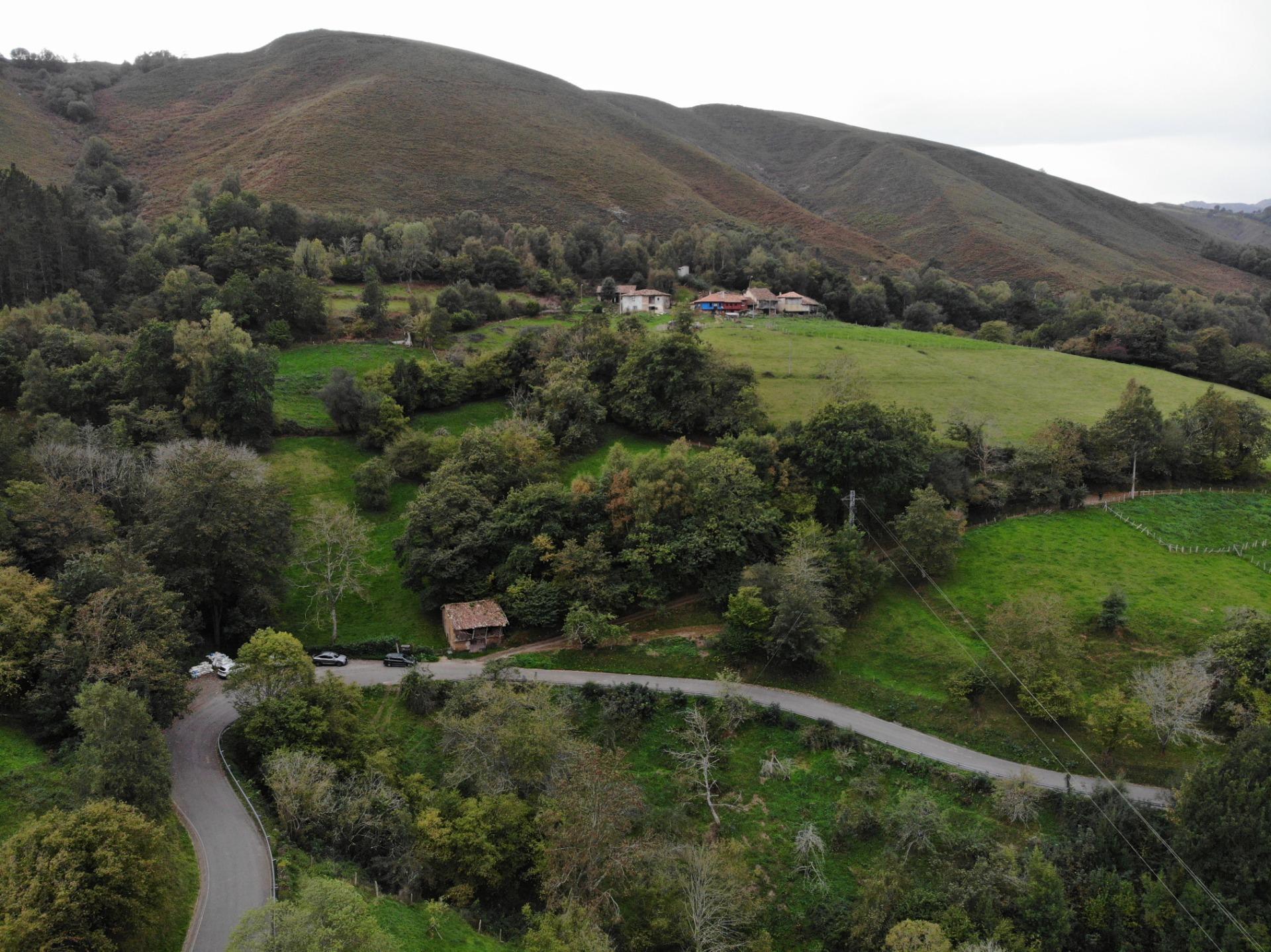 Fincas y solares-Venta-PiloÃ±a-1439489-Foto-6