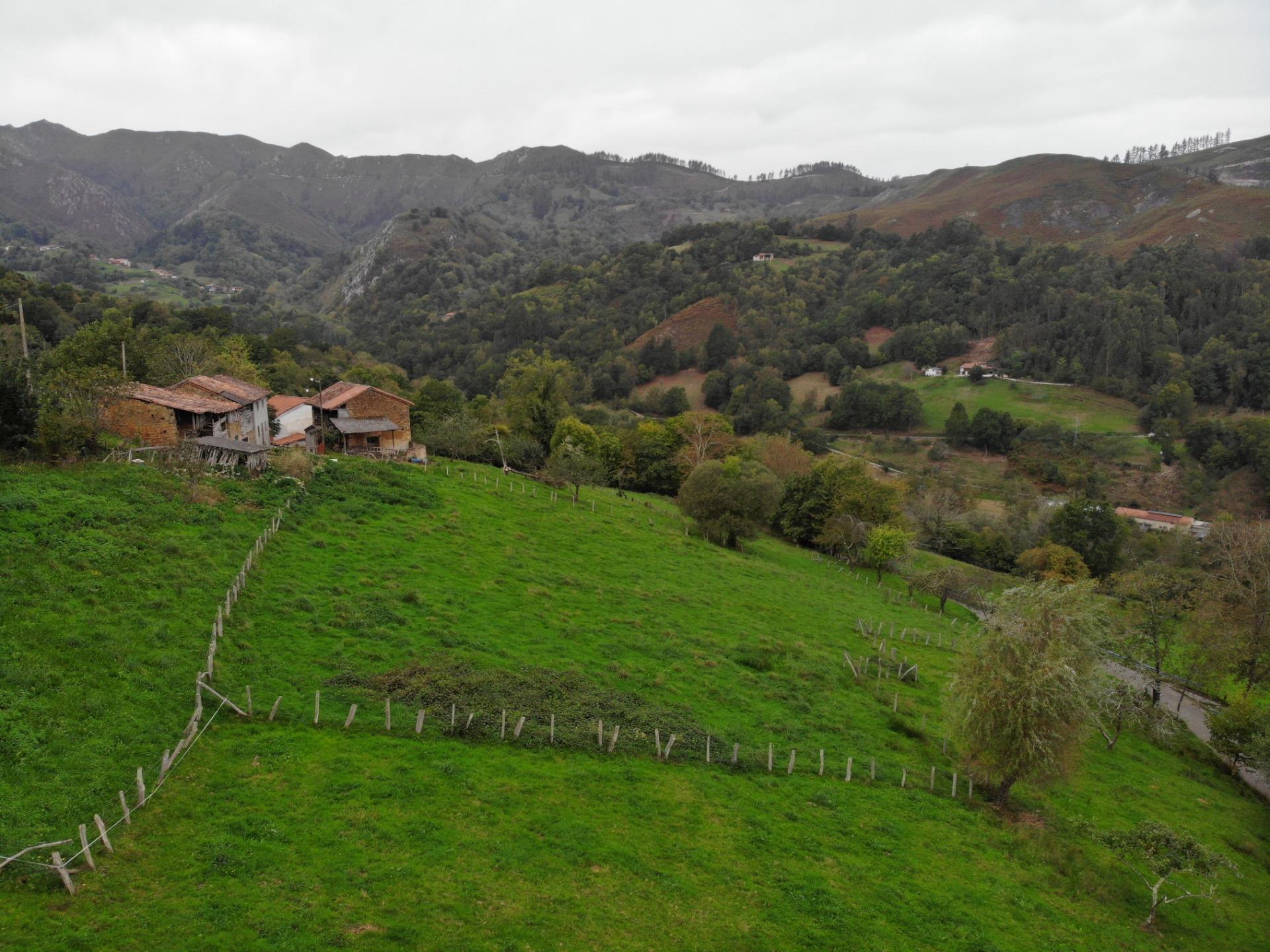 Fincas y solares-Venta-PiloÃ±a-1439489-Foto-14