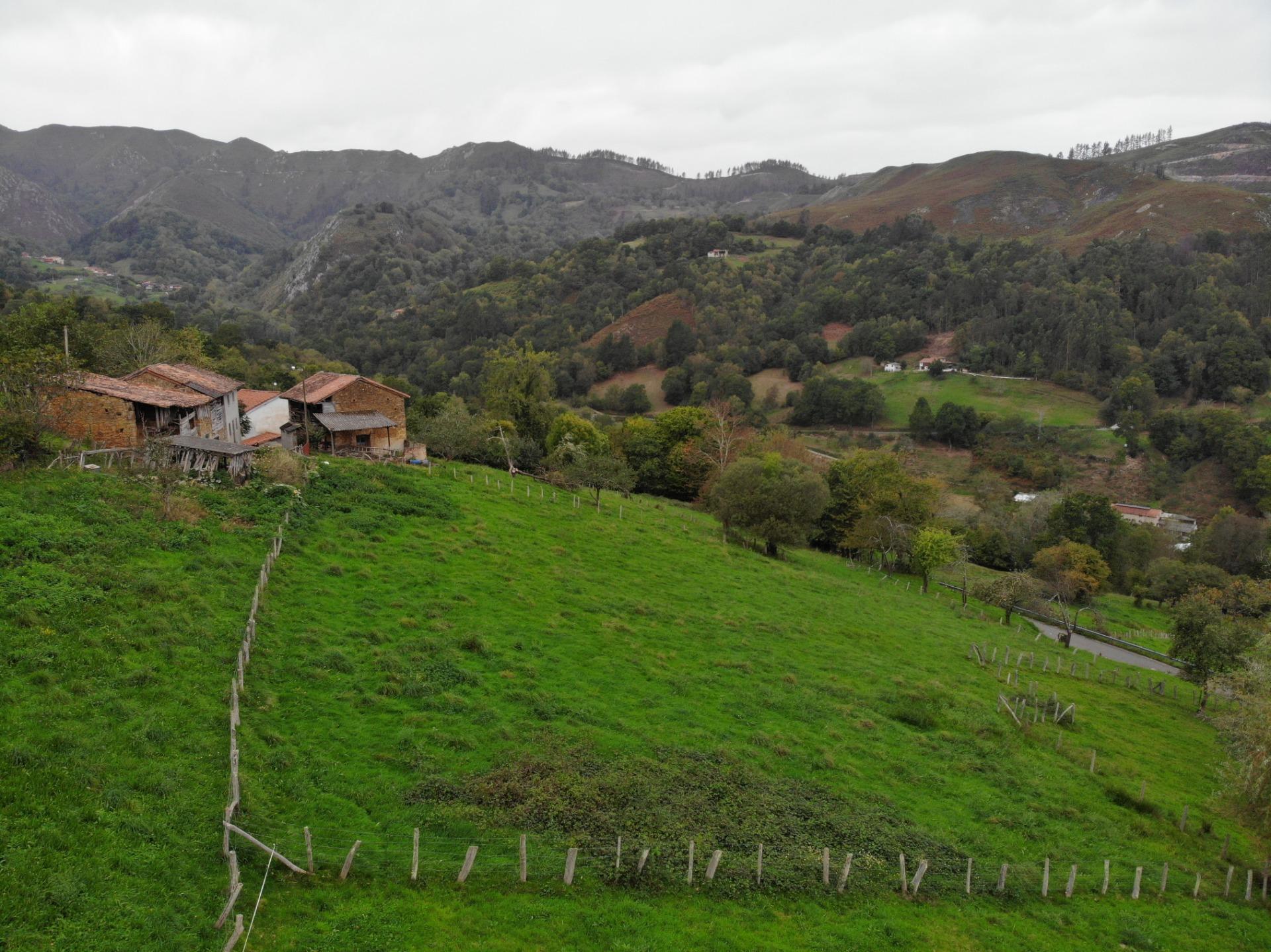 Fincas y solares-Venta-PiloÃ±a-1439489-Foto-13