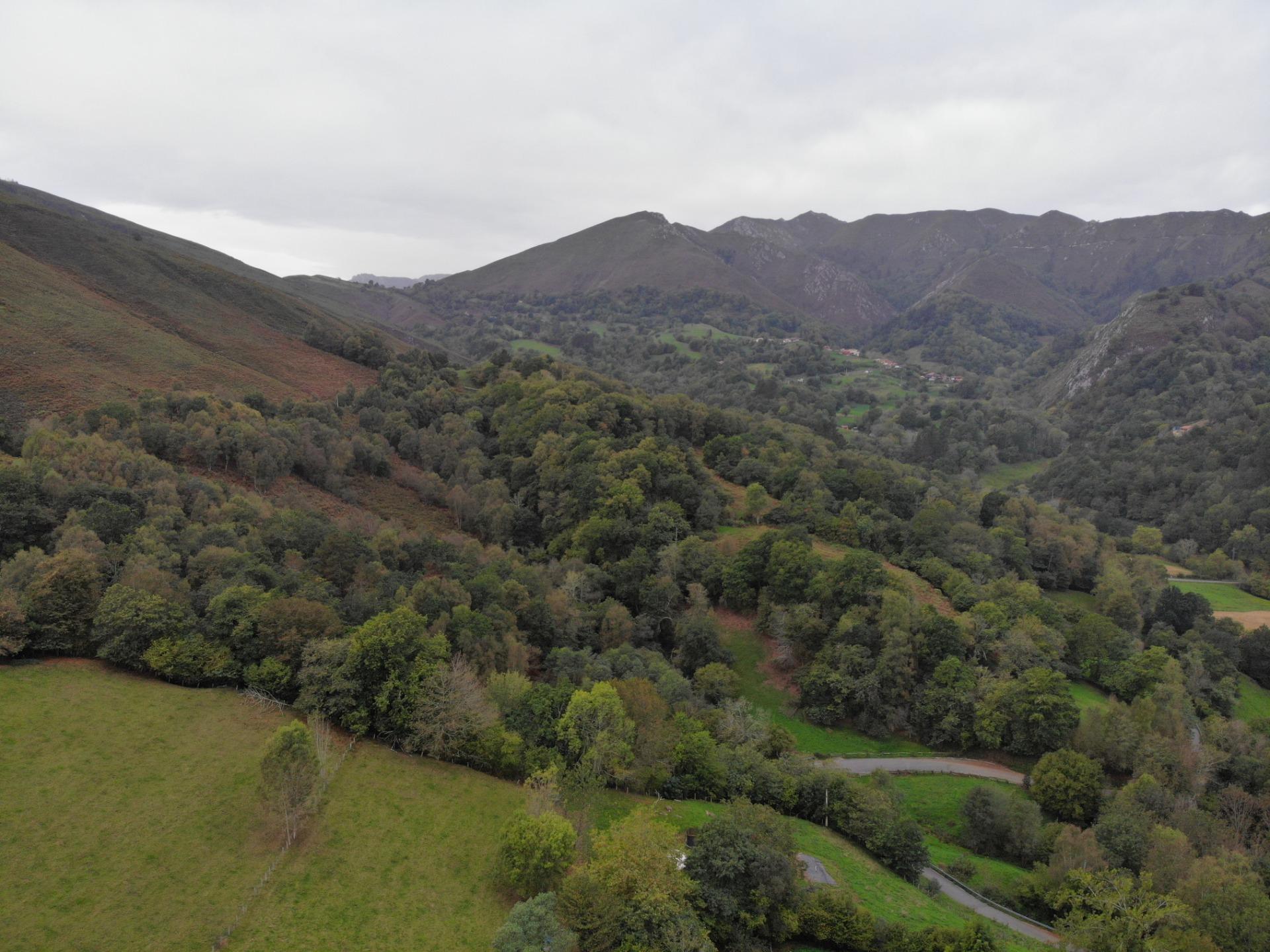 Fincas y solares-Venta-PiloÃ±a-1439489-Foto-16