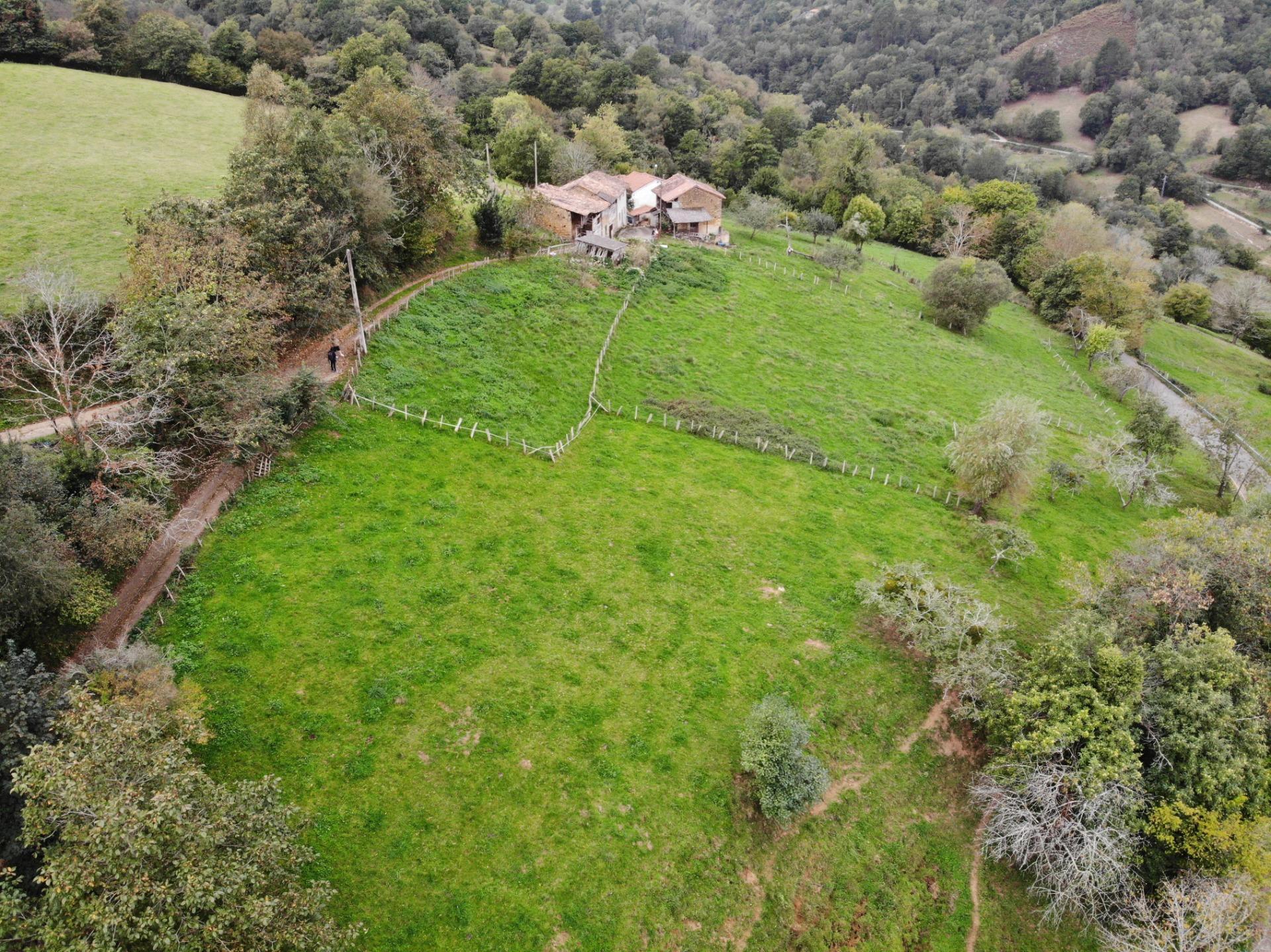 Fincas y solares-Venta-PiloÃ±a-1439489-Foto-20