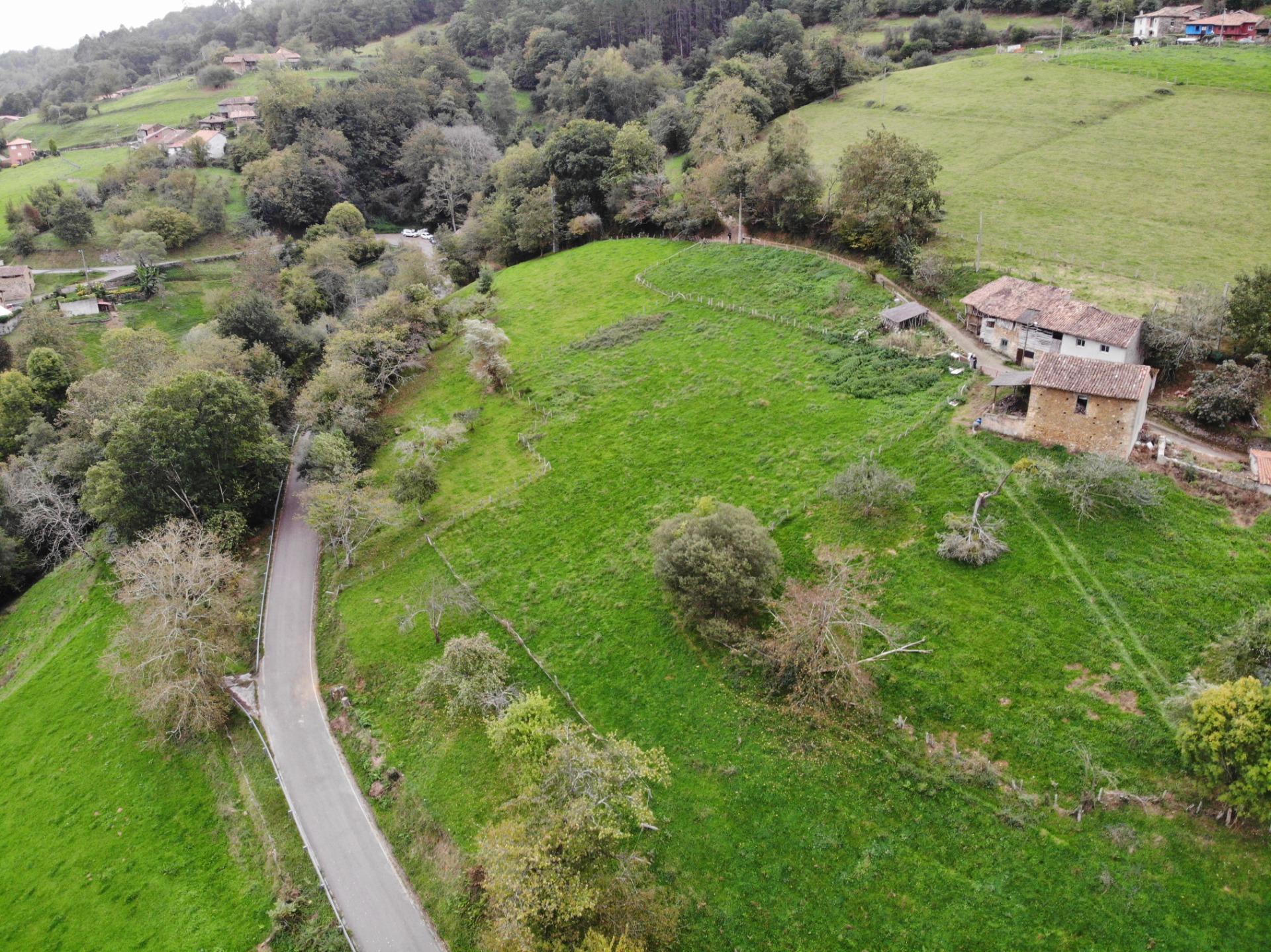 Fincas y solares-Venta-PiloÃ±a-1439489-Foto-23