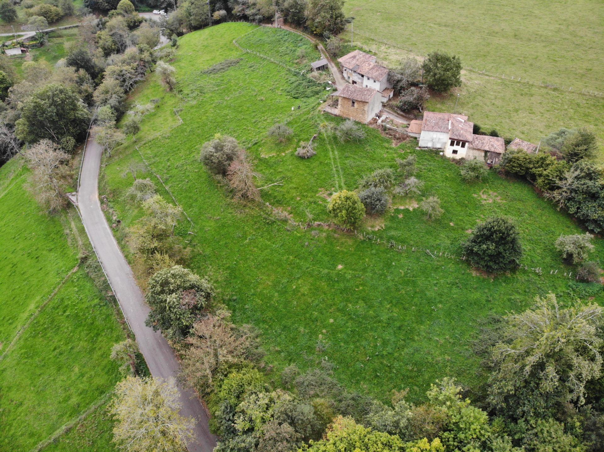 Fincas y solares-Venta-PiloÃ±a-1439489-Foto-25