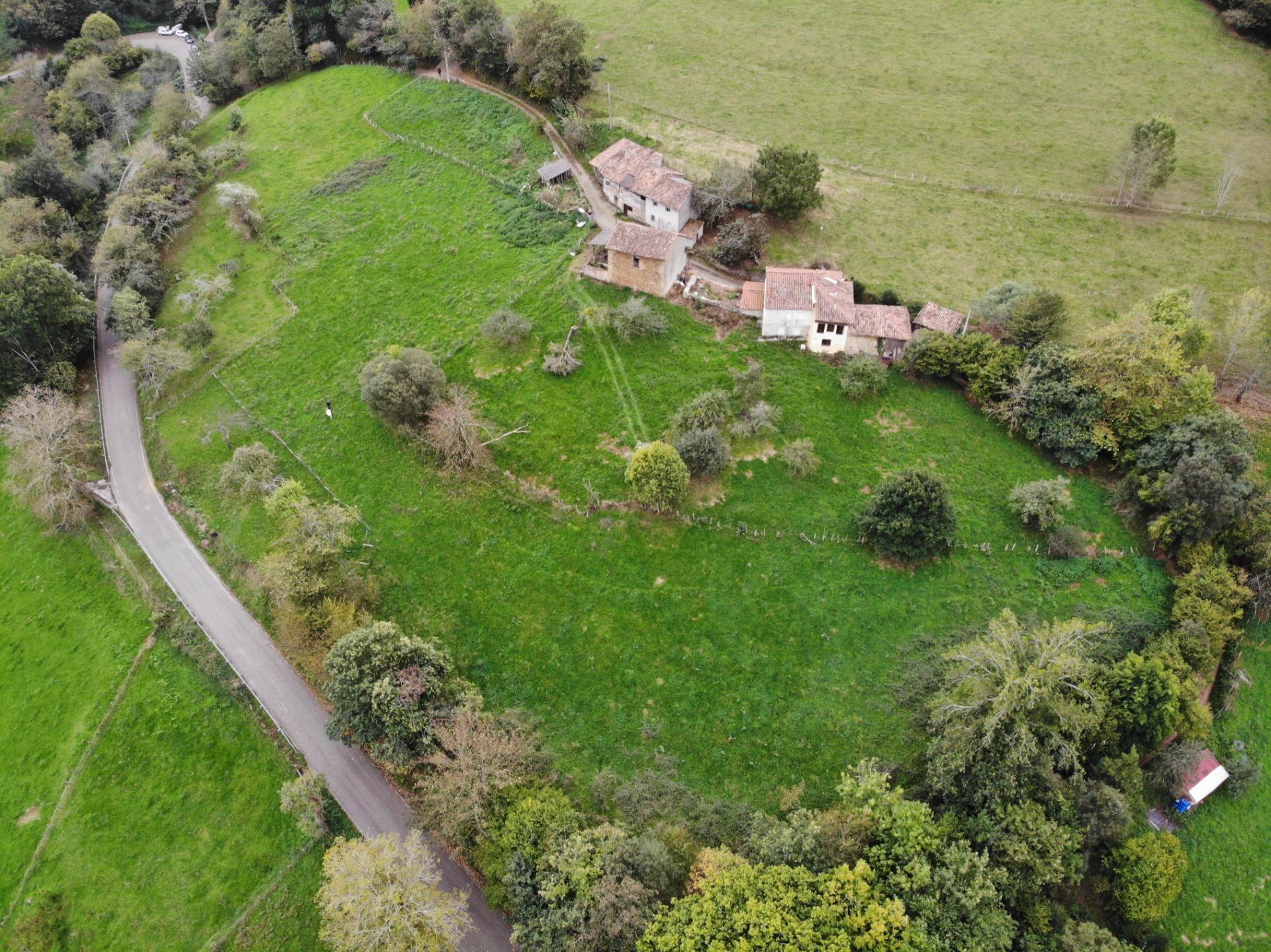 Fincas y solares-Venta-PiloÃ±a-1439489-Foto-30