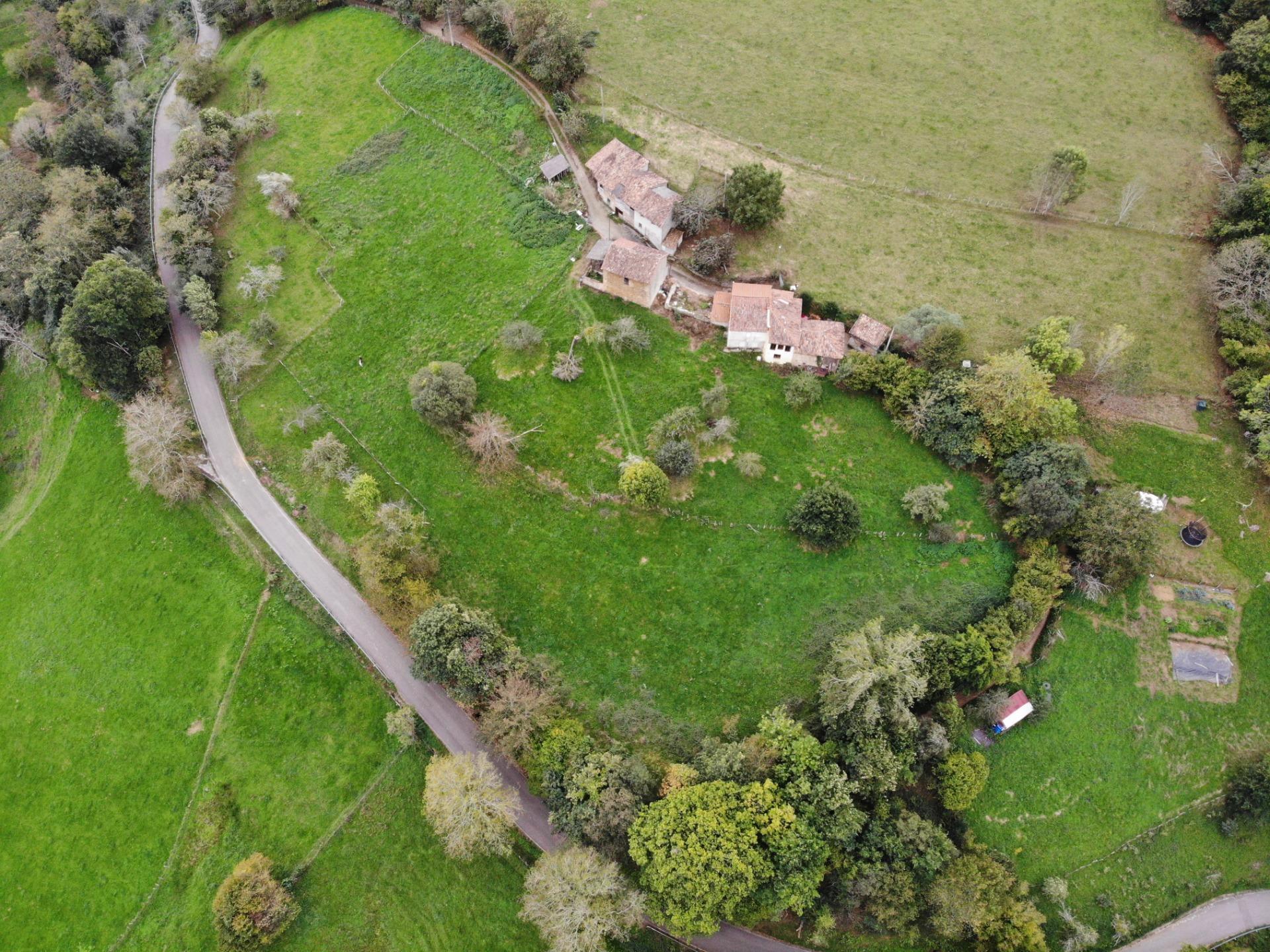 Fincas y solares-Venta-PiloÃ±a-1439489-Foto-27