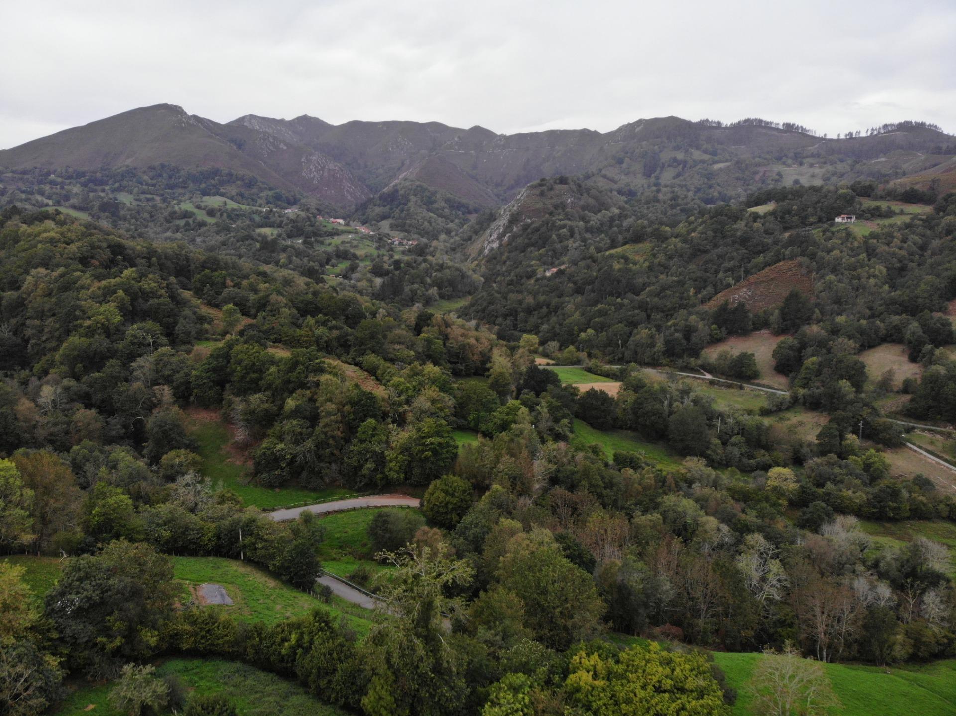 Fincas y solares-Venta-PiloÃ±a-1439489-Foto-33