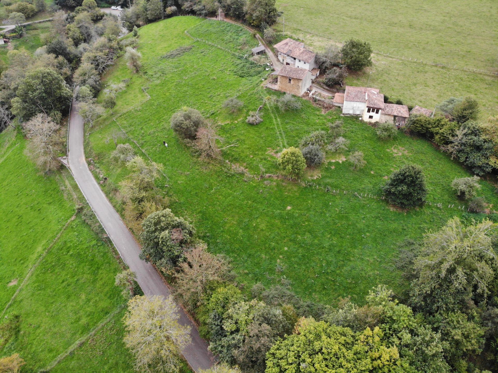 Fincas y solares-Venta-PiloÃ±a-1439489-Foto-31