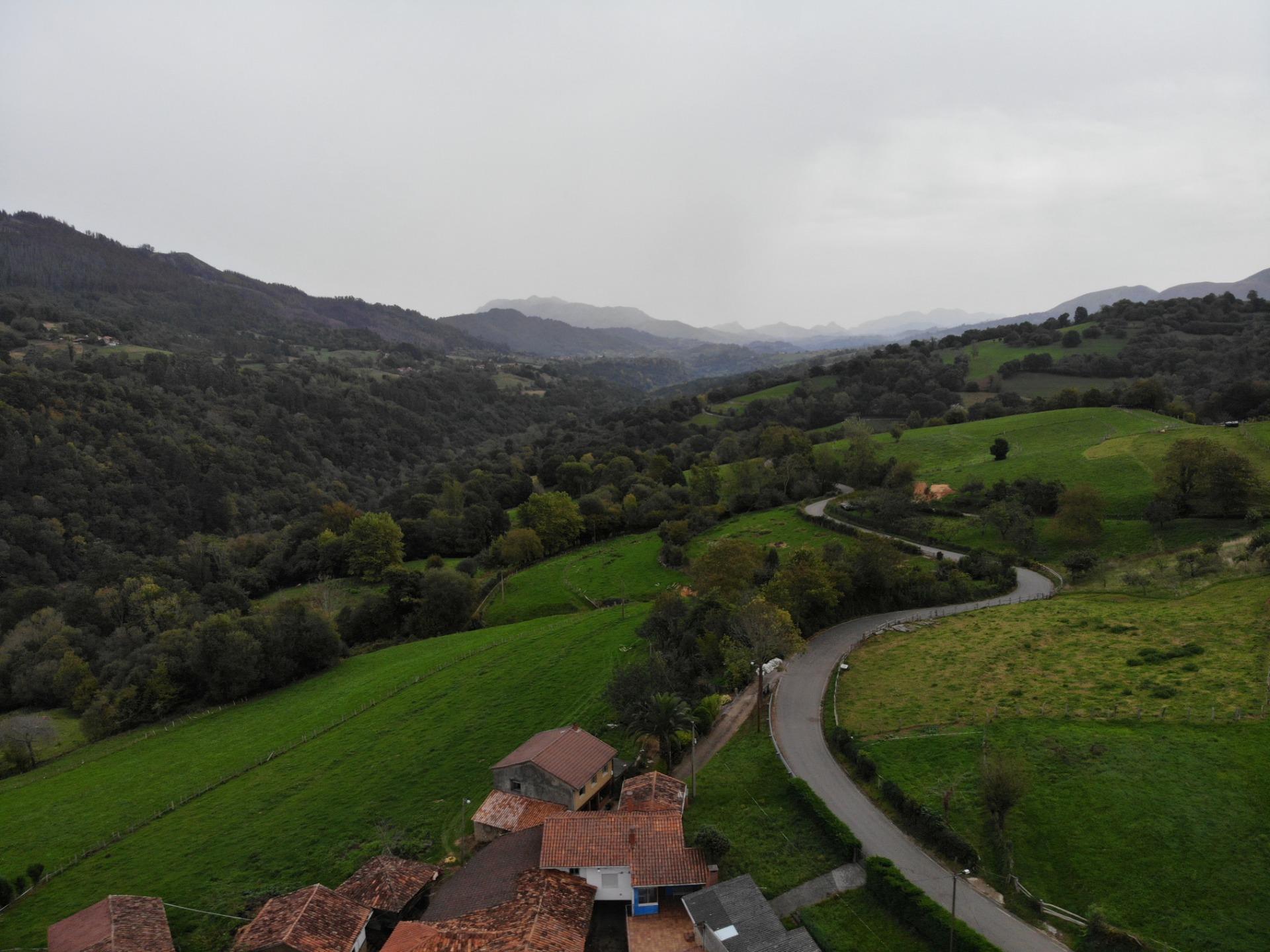 Fincas y solares-Venta-PiloÃ±a-1439489-Foto-38