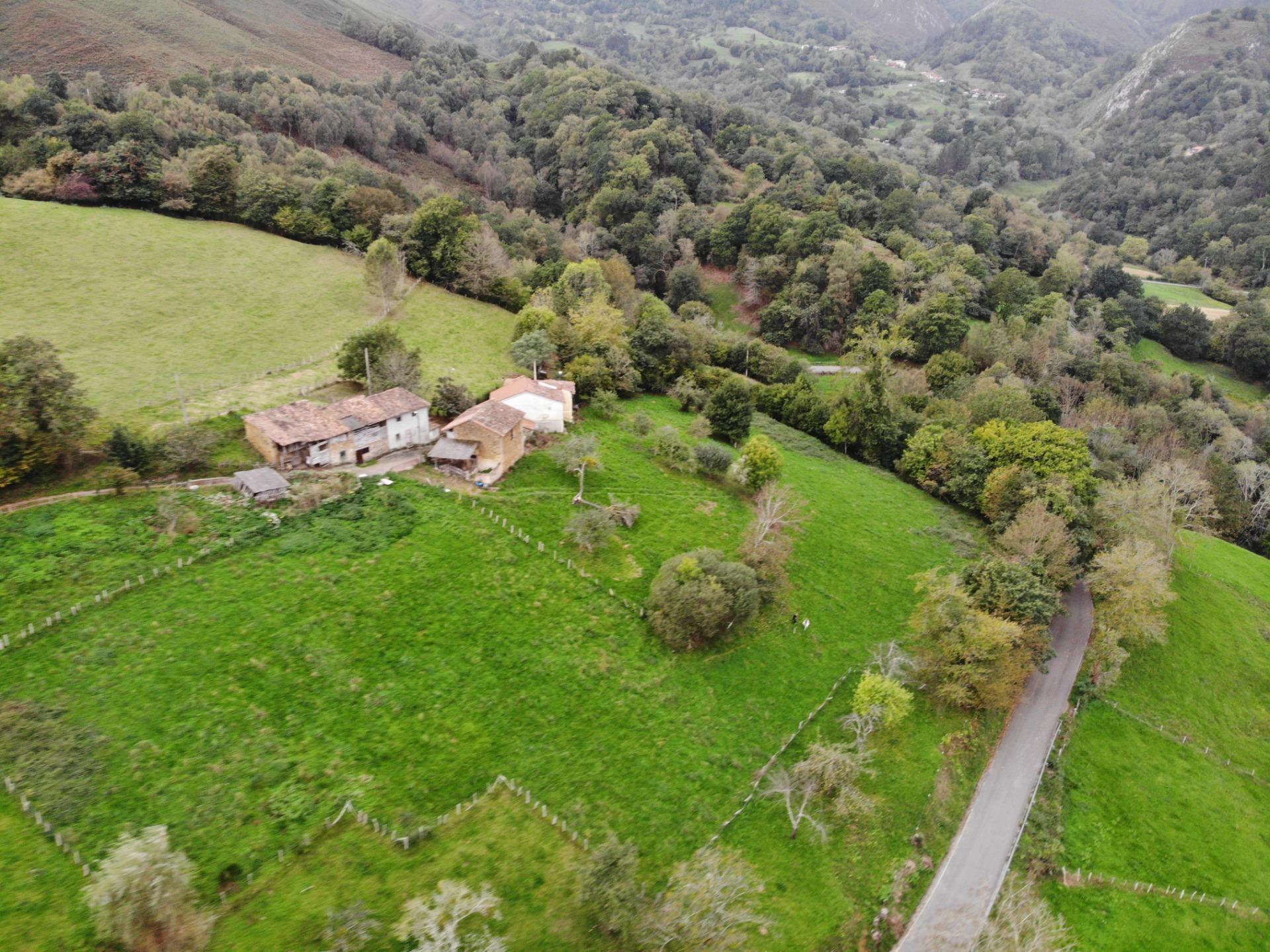 Fincas y solares-Venta-PiloÃ±a-1439489-Foto-36