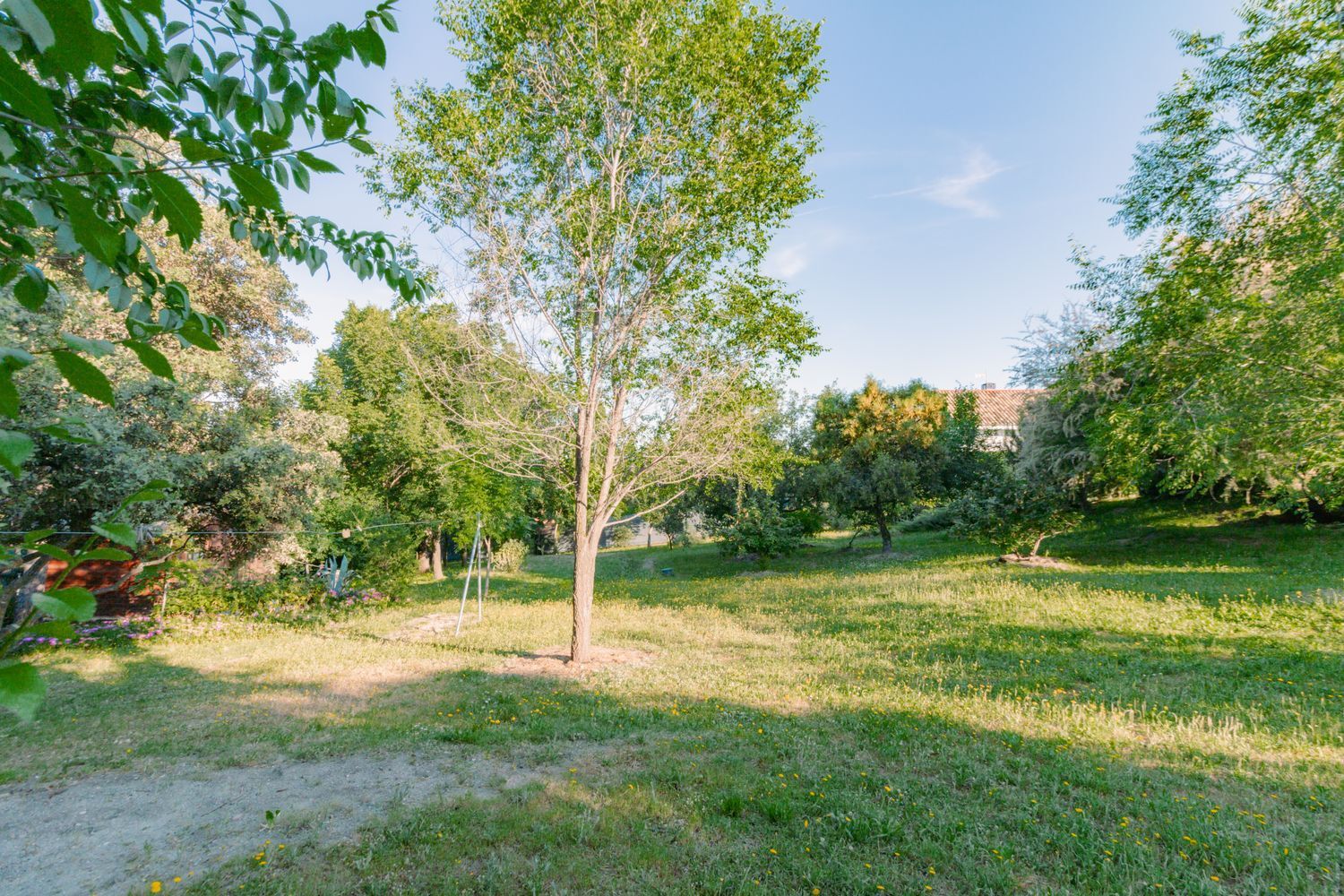 Casas o chalets-Venta-Las Rozas de Madrid-1747721-Foto-13