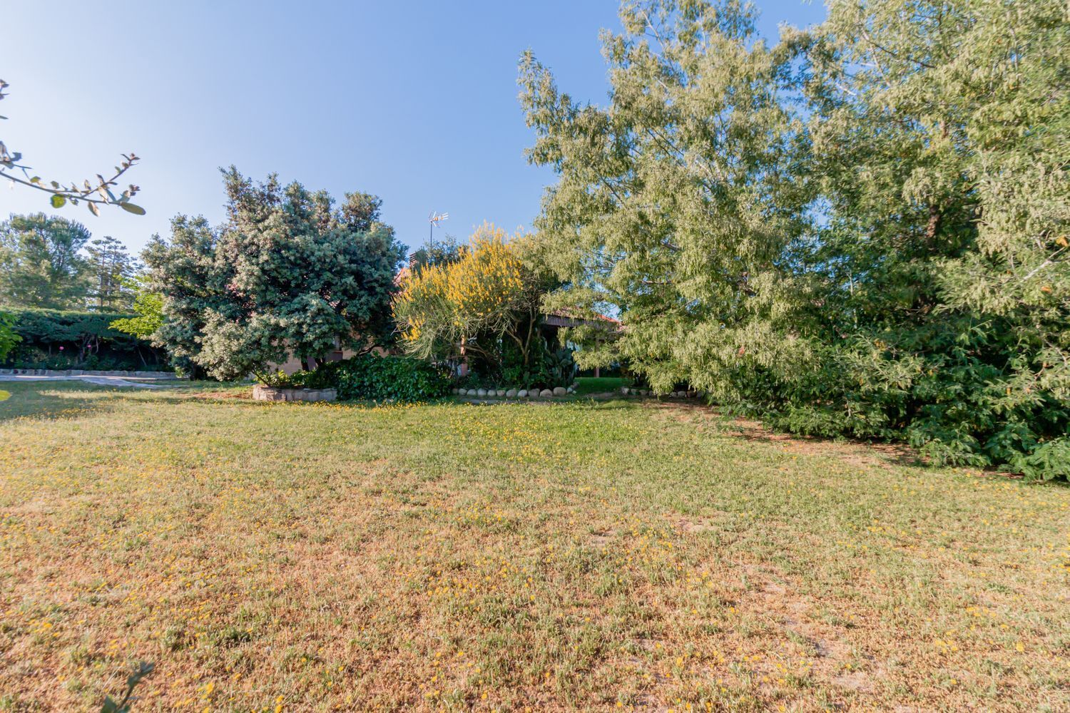 Casas o chalets-Venta-Las Rozas de Madrid-1747721-Foto-64