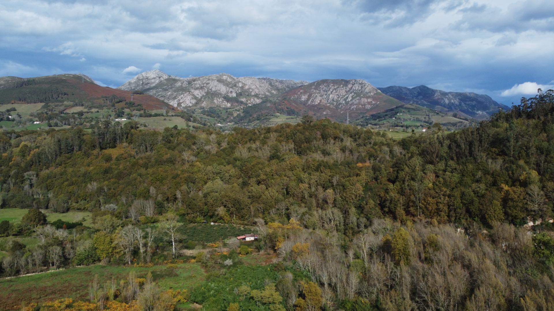 Casas o chalets-Venta-PiloÃ±a-1993951-Foto-6